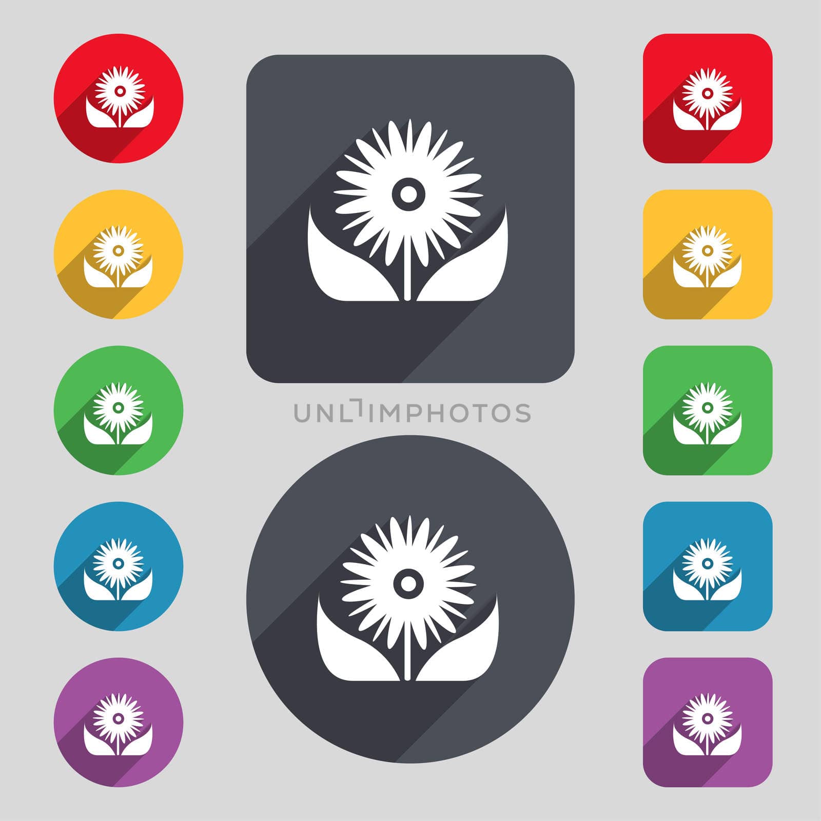 Bouquet of flowers with petals icon sign. A set of 12 colored buttons and a long shadow by serhii_lohvyniuk