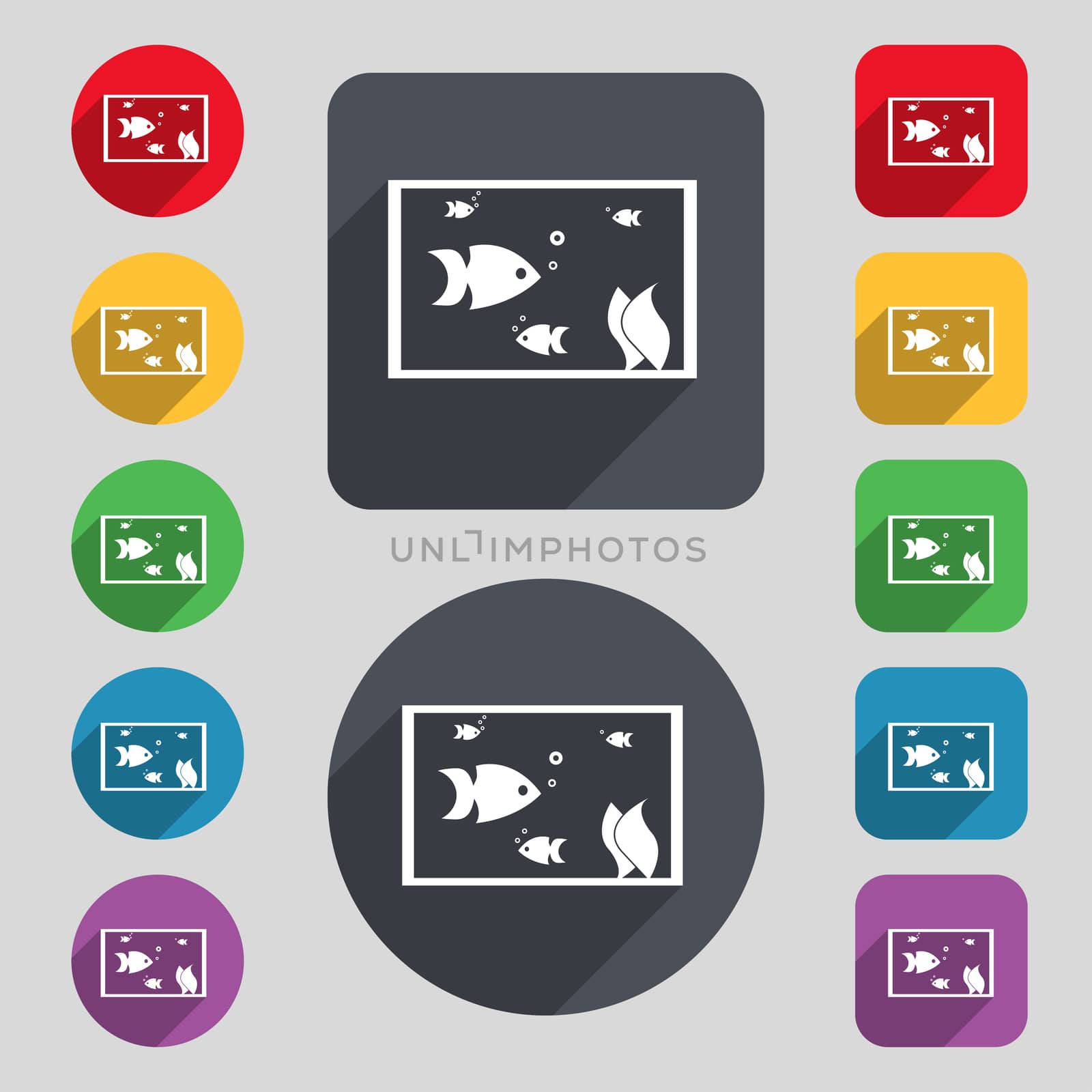 Aquarium, Fish in water icon sign. A set of 12 colored buttons and a long shadow. Flat design. 