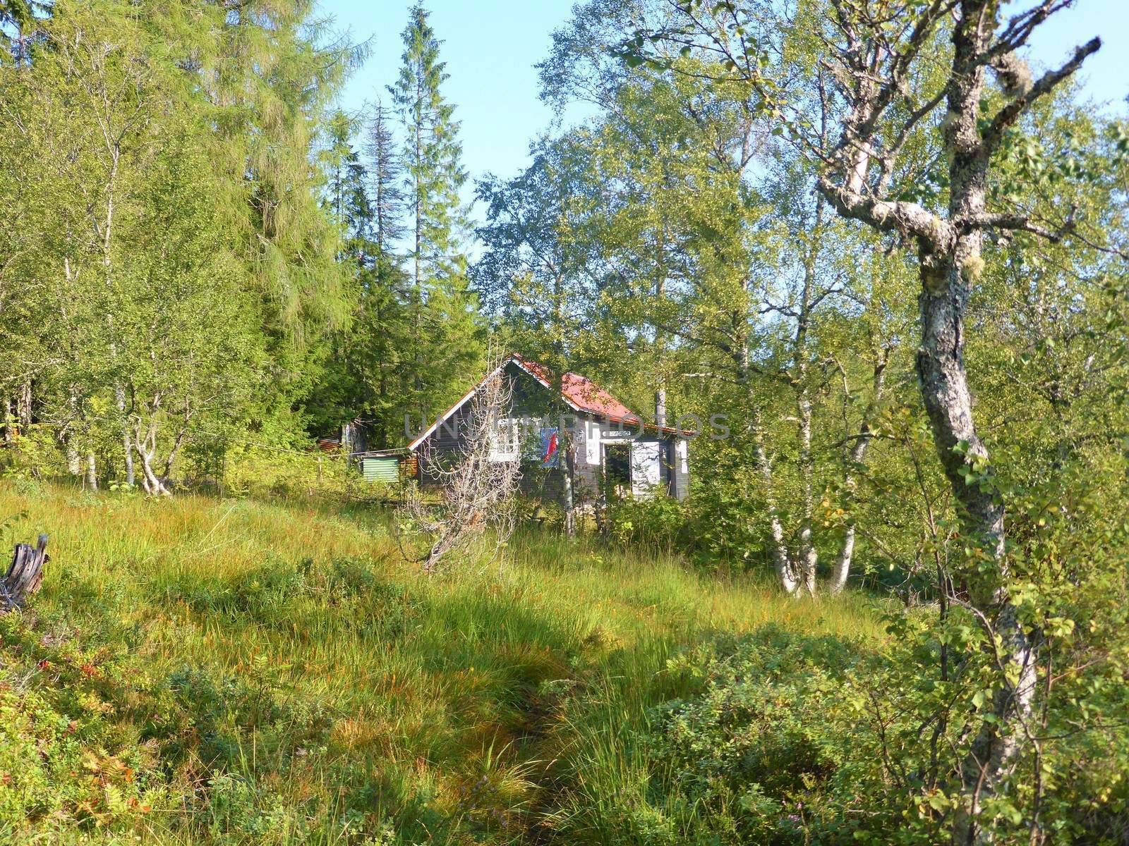 A peaceful image of a cabin in beautiful Norwegian countryside, close to the town of Molde.