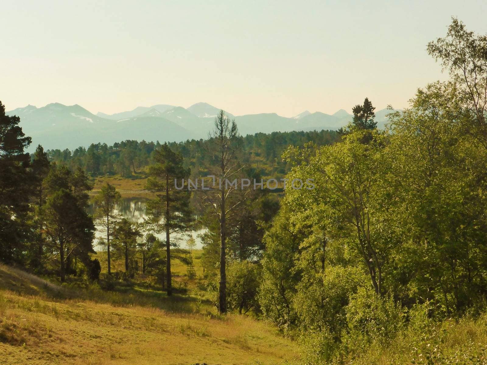 Beautiful countryside from Norway's west coast.