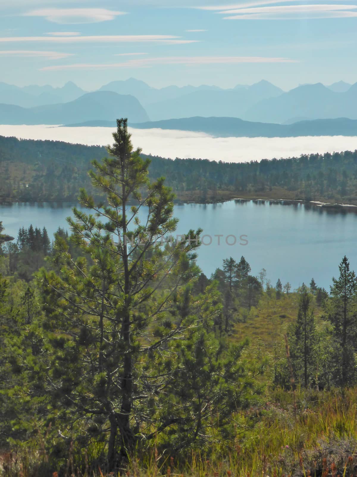 Norwegian Countryside. by paulst