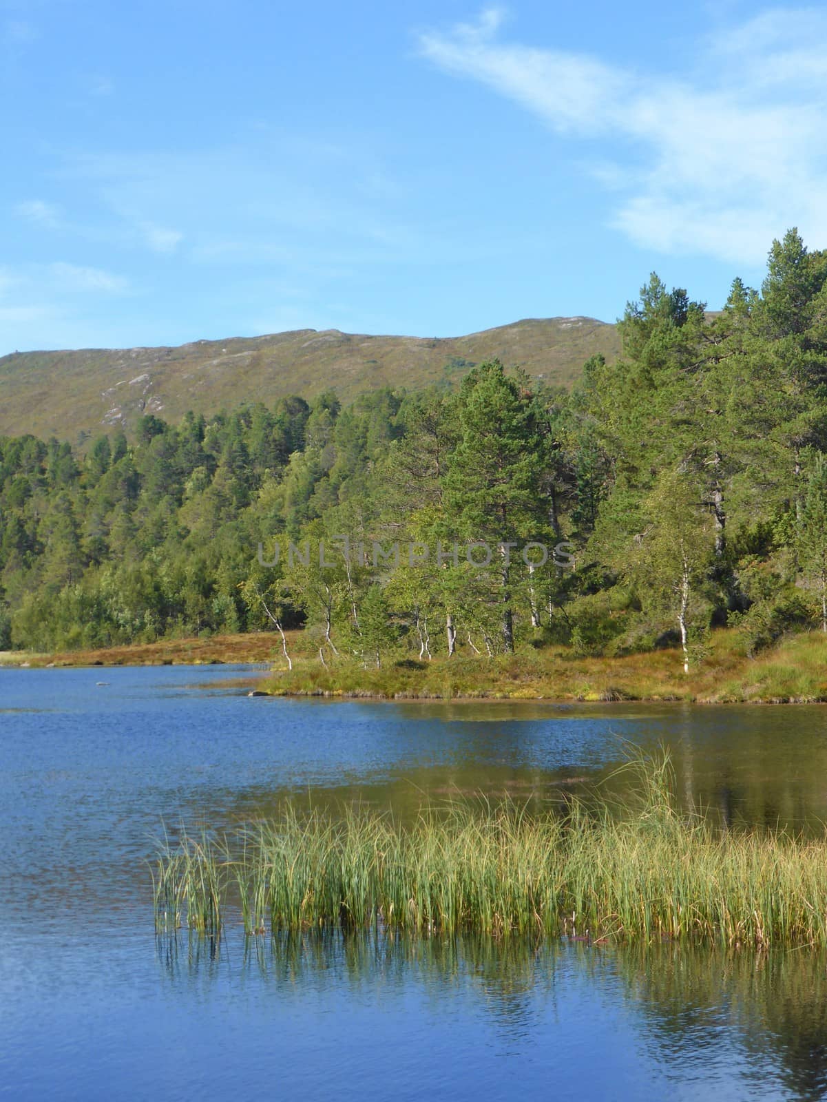 Beautiful countryside from Norway's west coast.