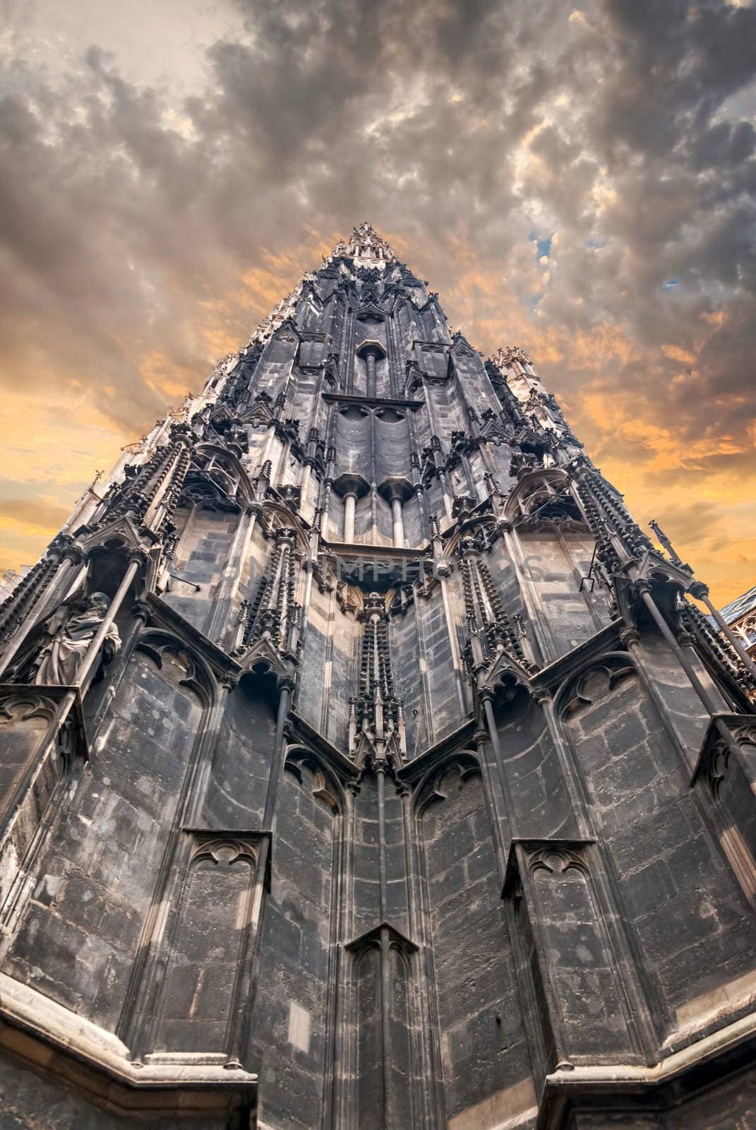 Vienna - st. Stephen cathedral or Staphensdom, at the night. Austria