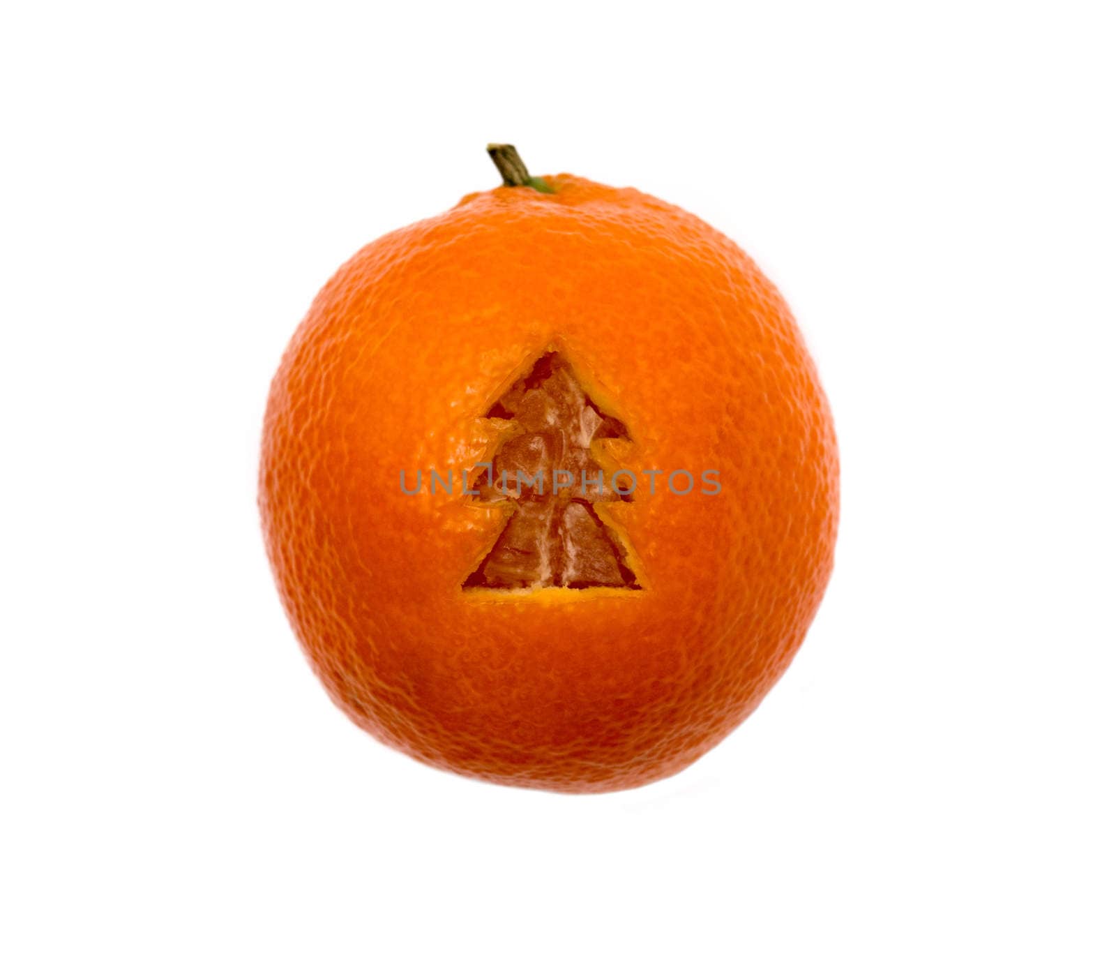 Mandarin isolated on white background by DNKSTUDIO