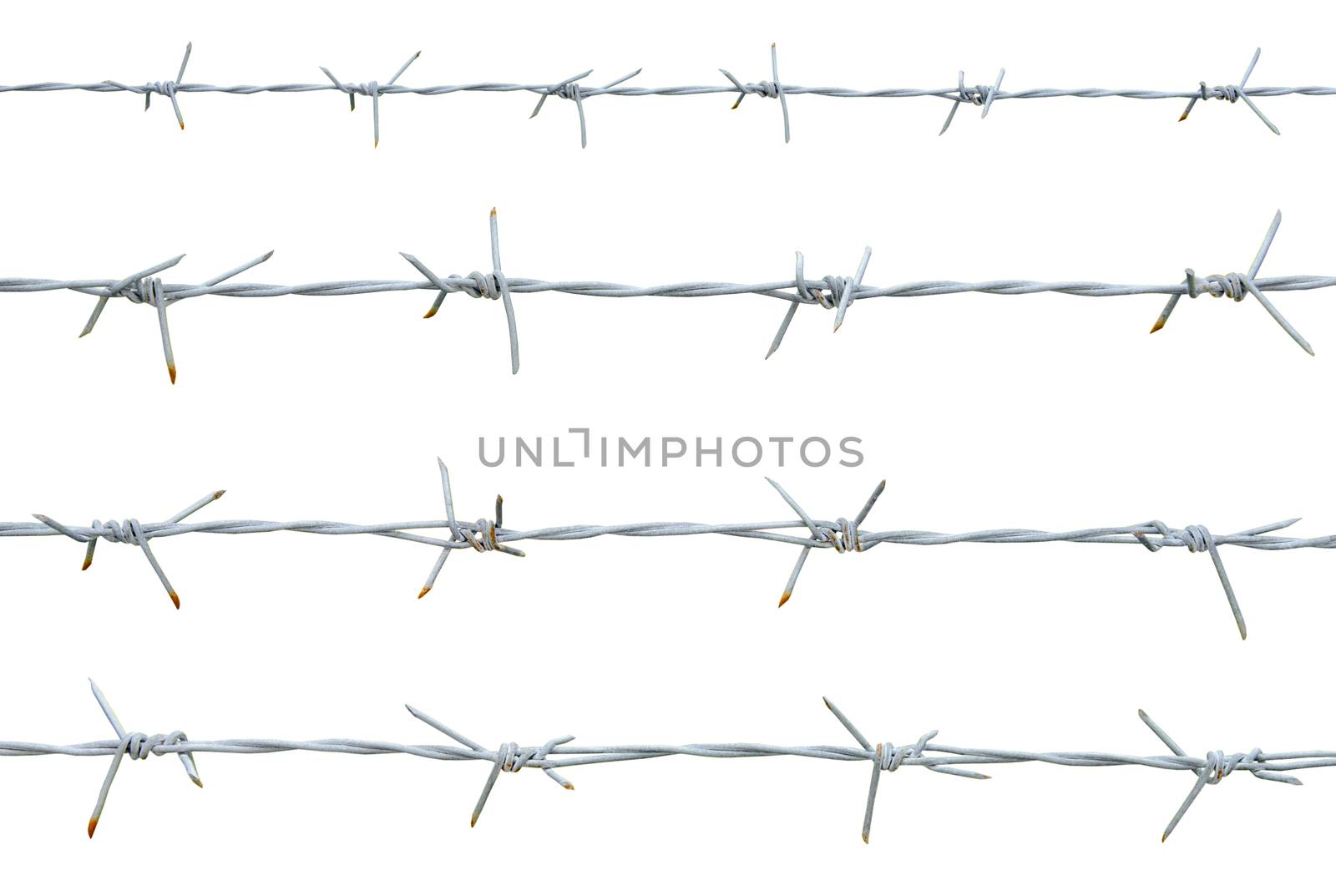 Rusty barbed wire isolated on white background. clipping path.