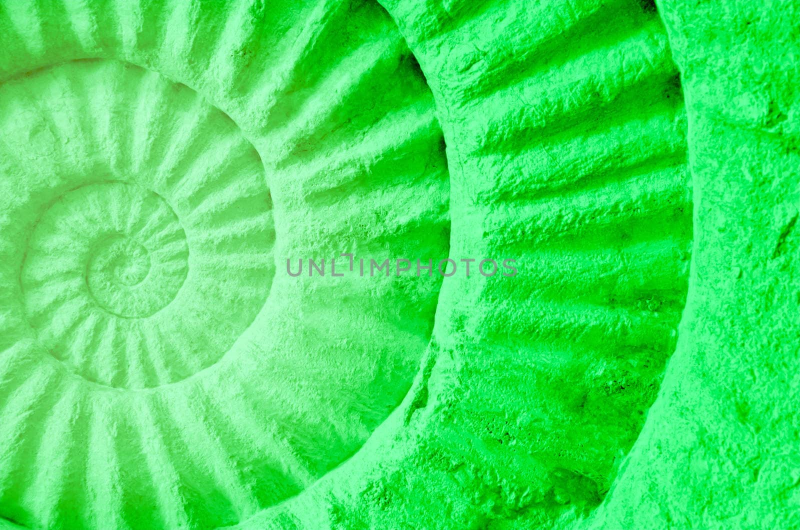 Color of ammonite prehistoric fossil, abstract background.