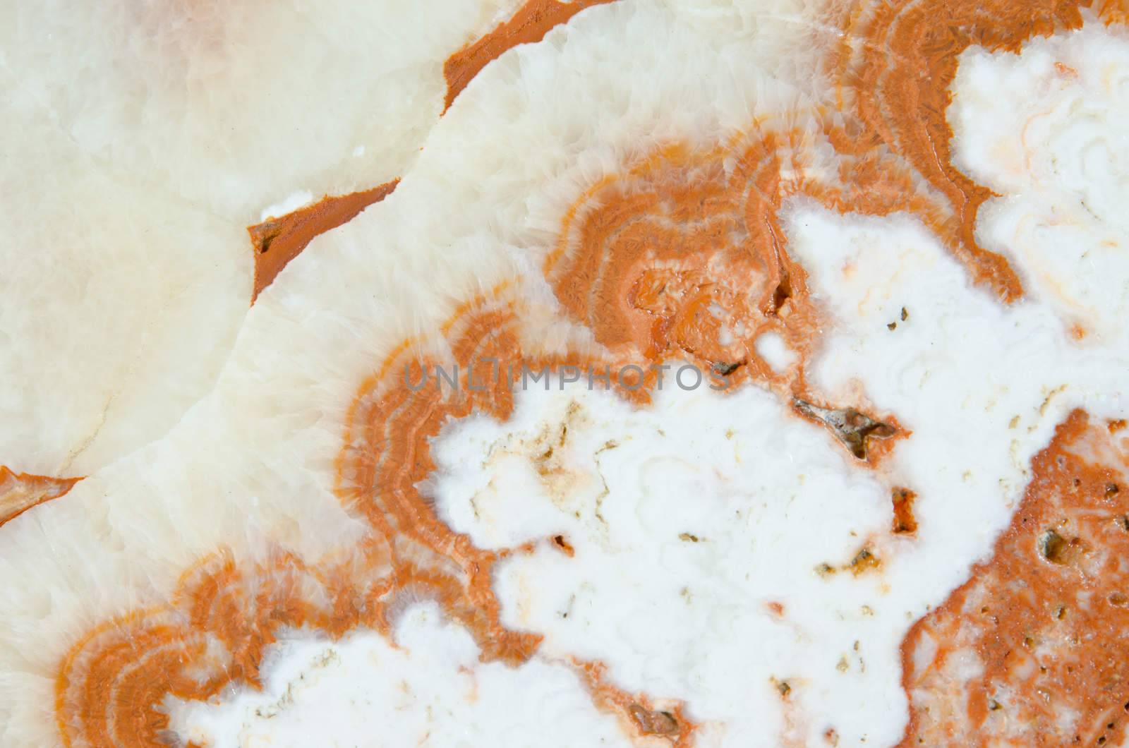close up marble texture background