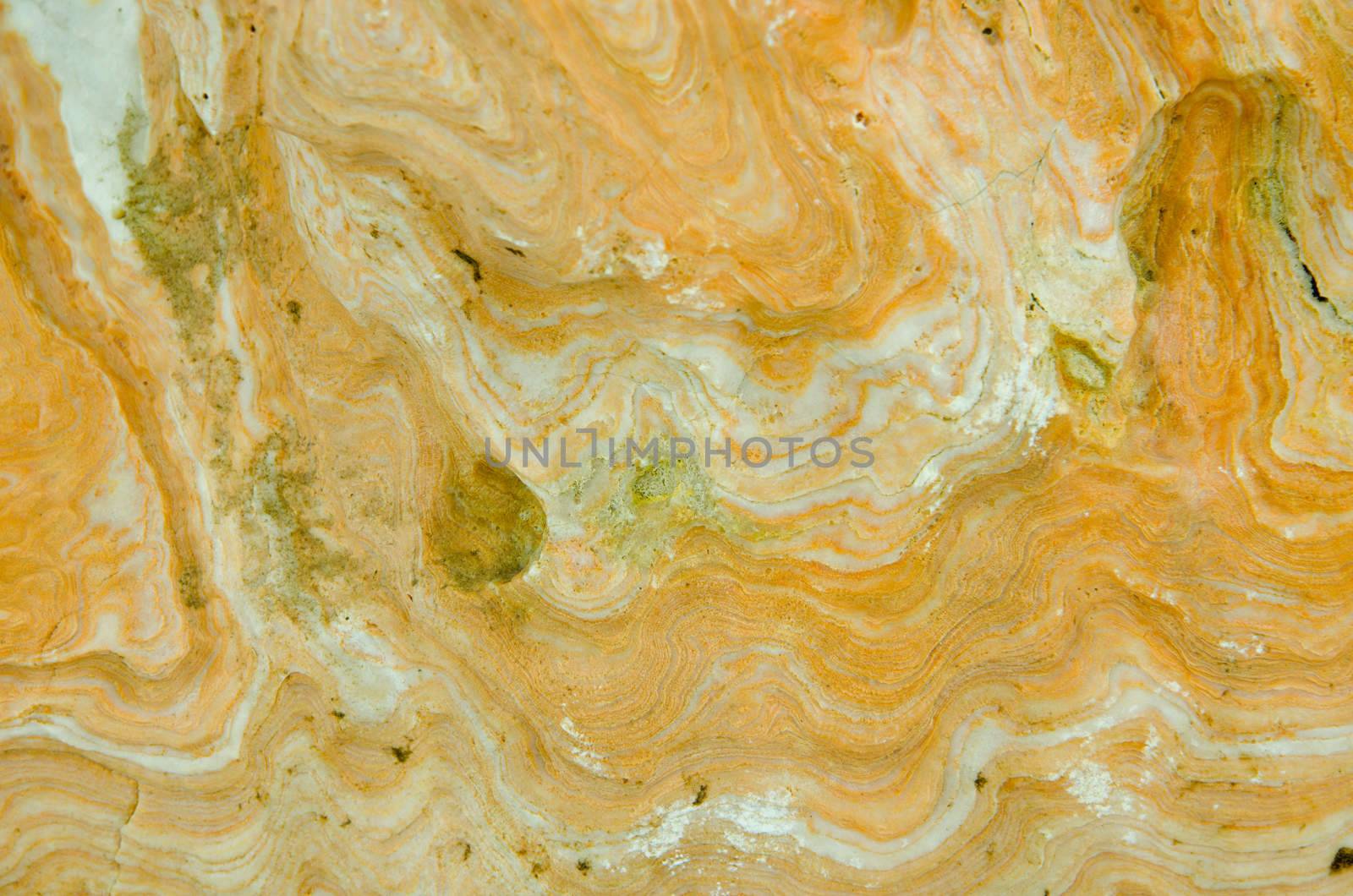 Surface of yellow stone background