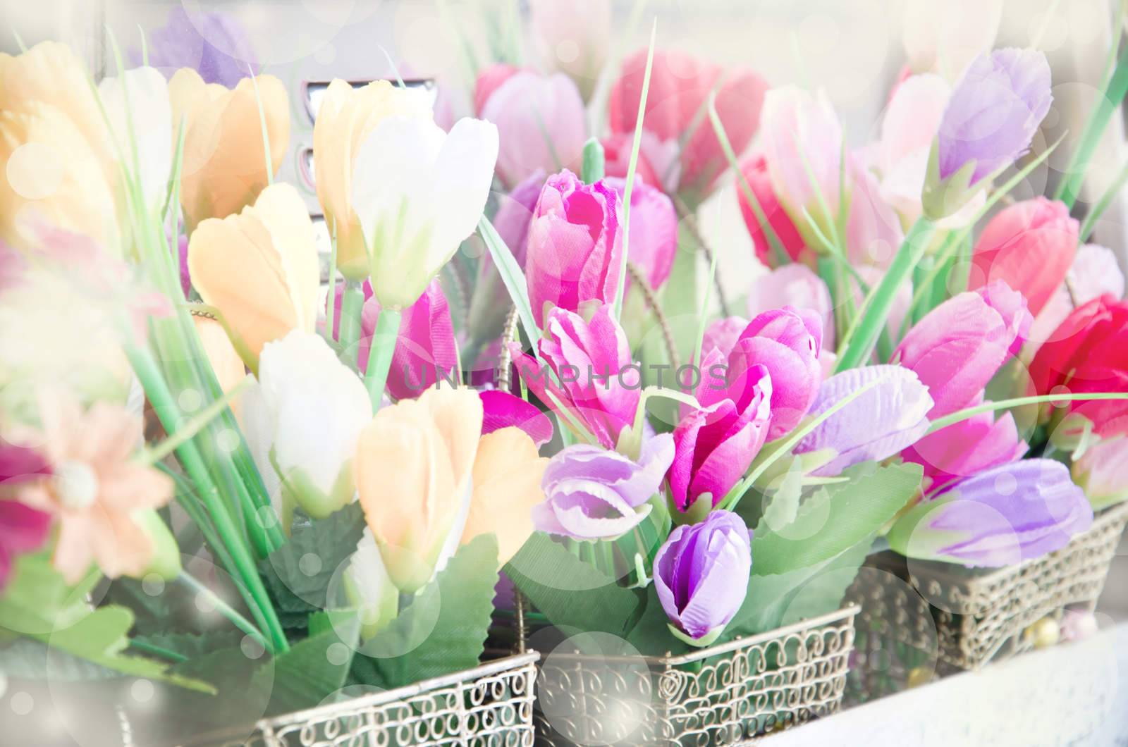 soft focus of Vintage tulip flowers and soft bokeh.