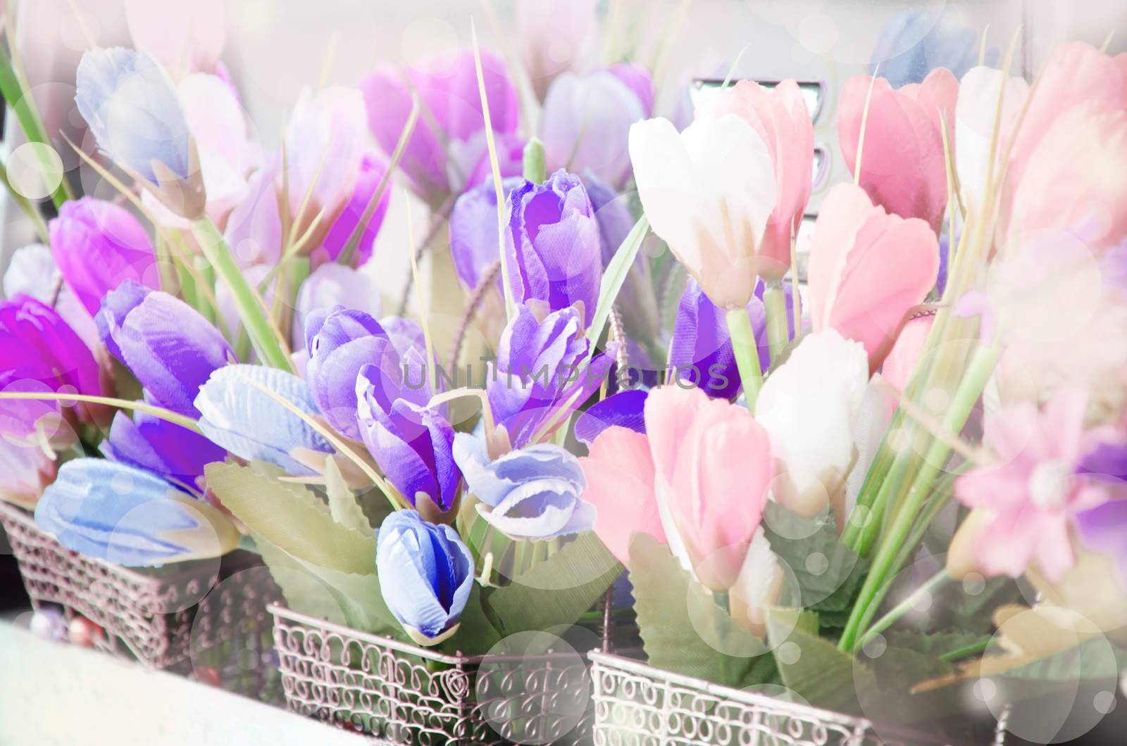 soft focus of Vintage tulip flowers and soft bokeh.