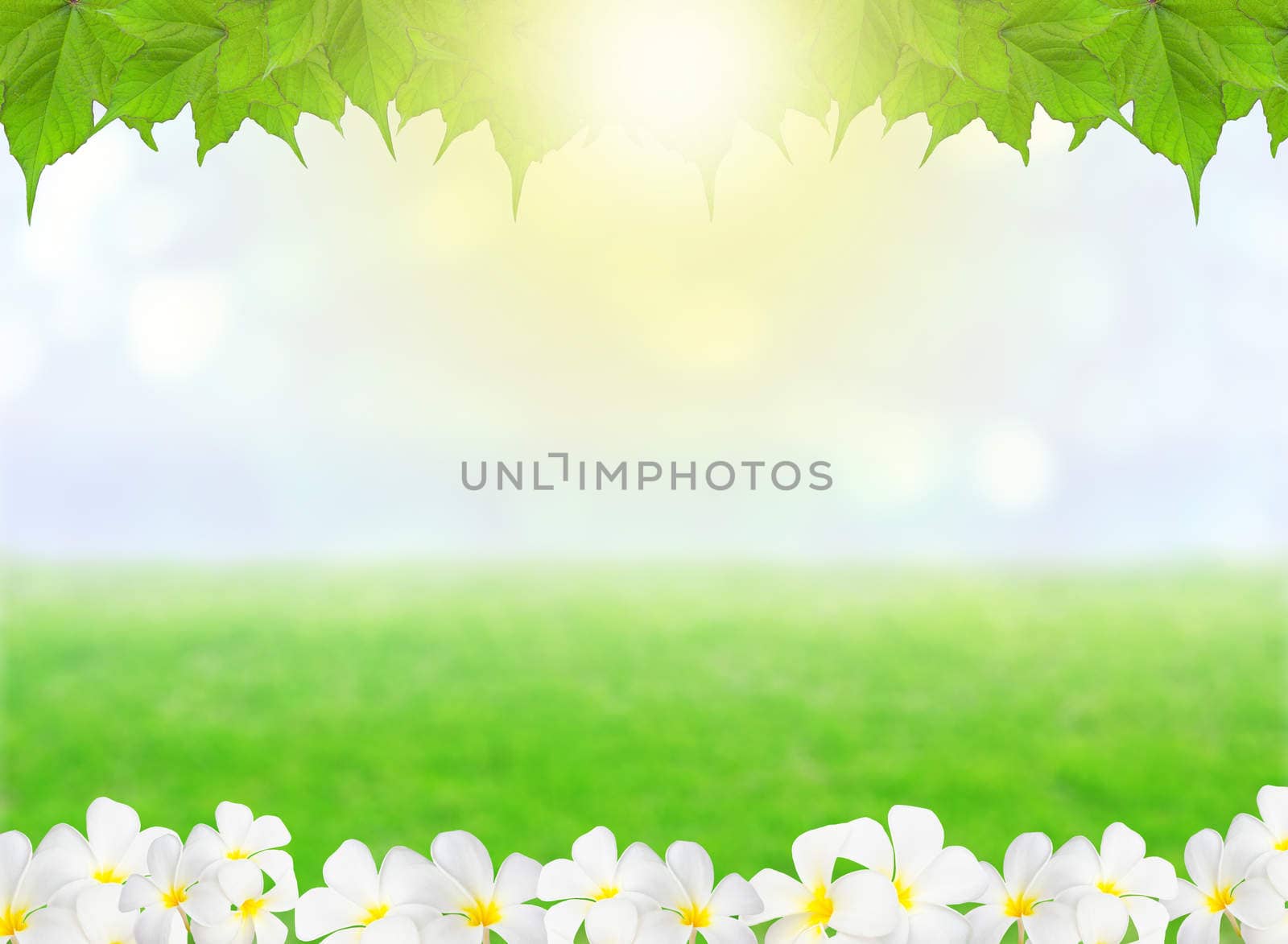 Abstract natural backgrounds with beauty bokeh
