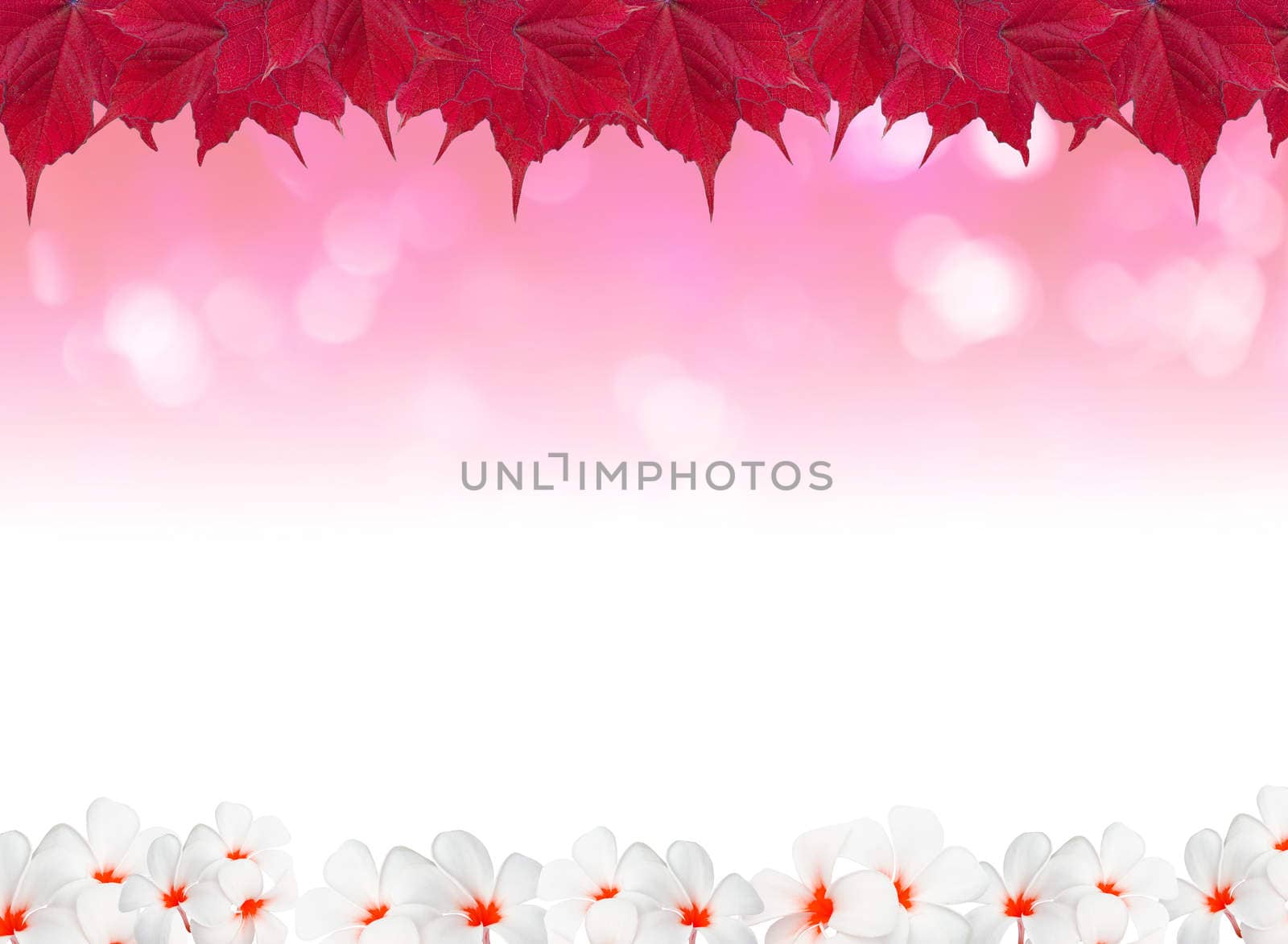 Abstract natural backgrounds with beauty bokeh