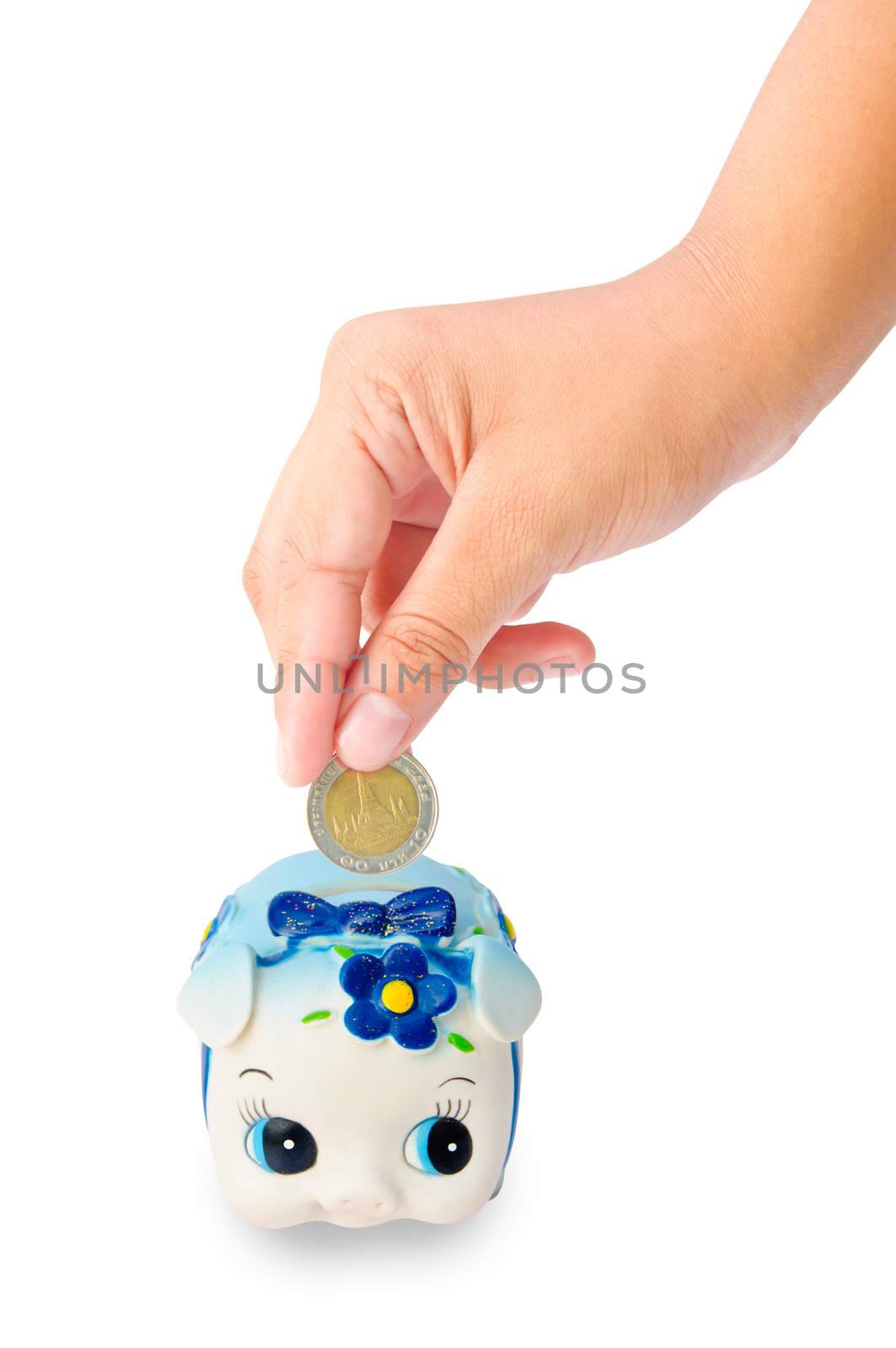 Money Saving with Piggy bank on white background by Gamjai