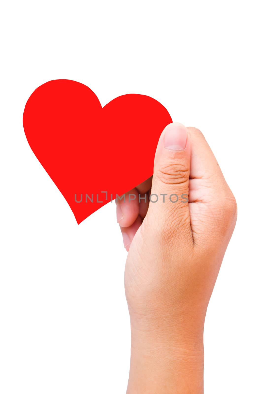 hand and heart shaped paper isolated on white background