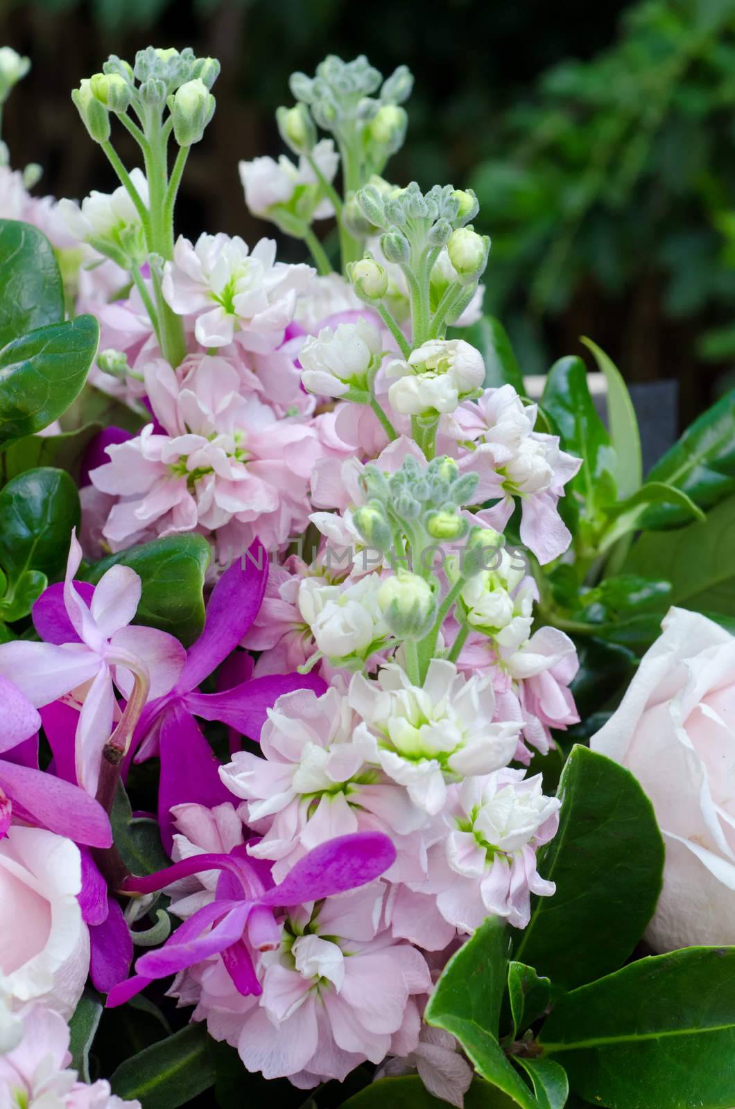 Flower bouquet closer shot showing roses, snapdragons and a few other flowers