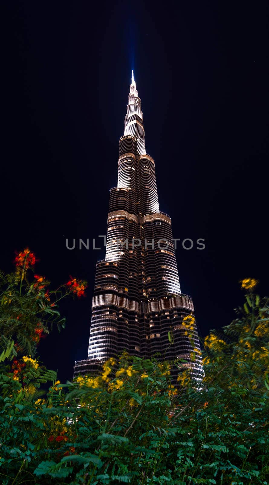 Burj Khalifa, Dubai, look through the bushes