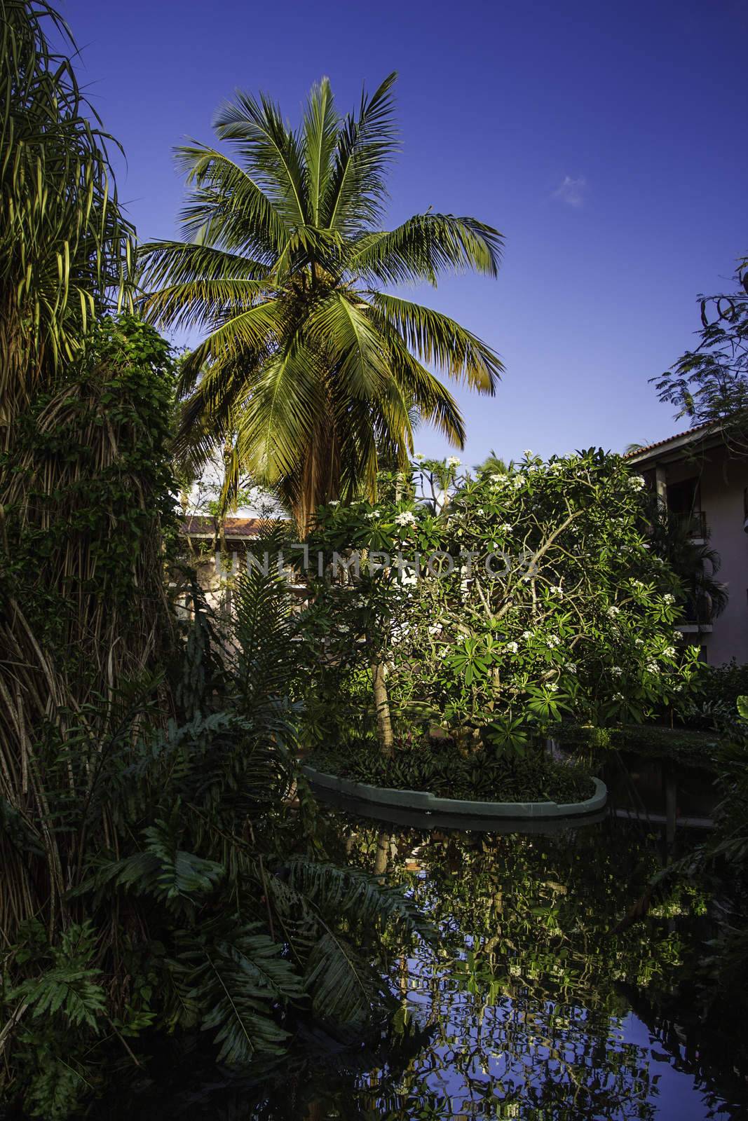 Resort hotel hidden in a jungle