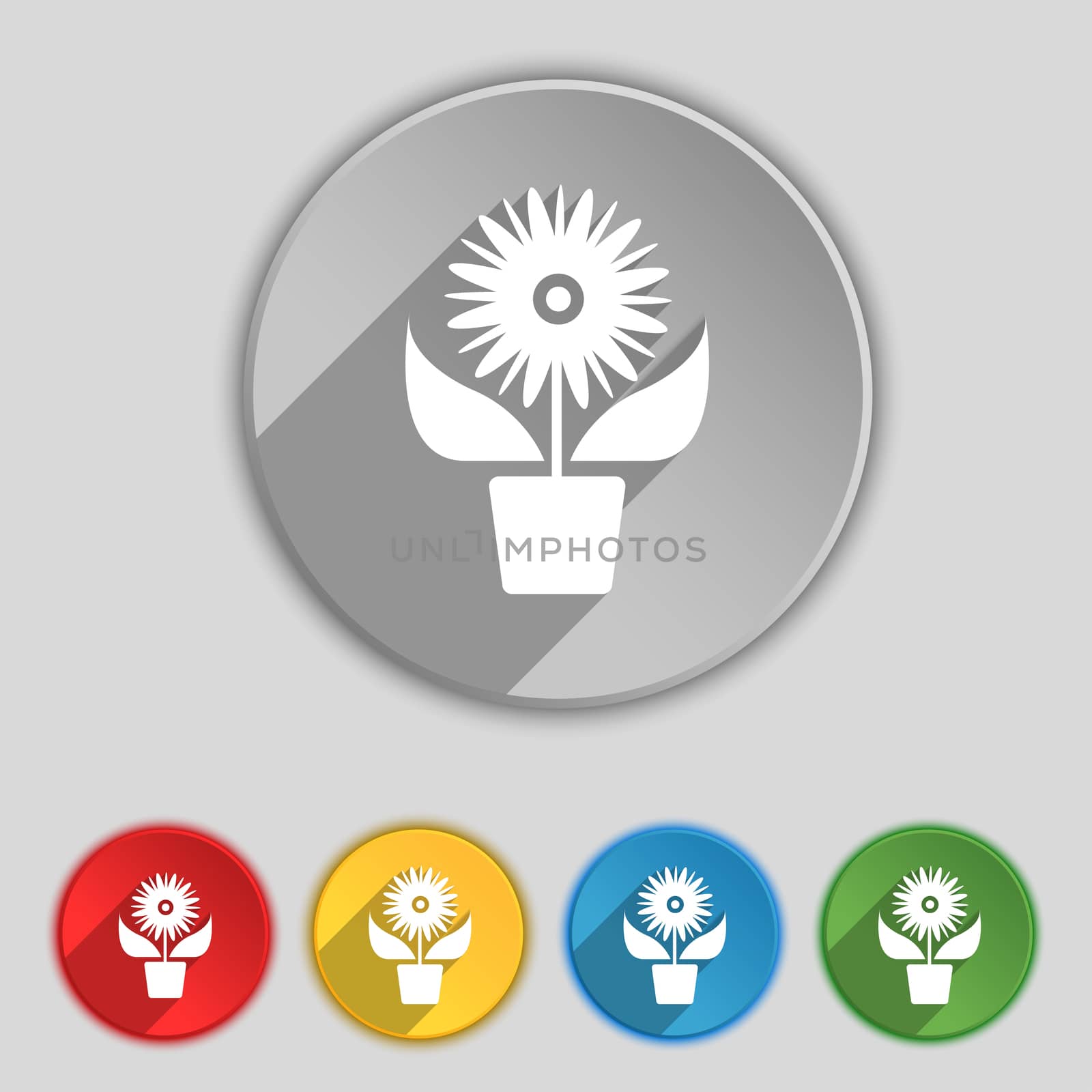 Flowers in pot icon sign. Symbol on five flat buttons. illustration