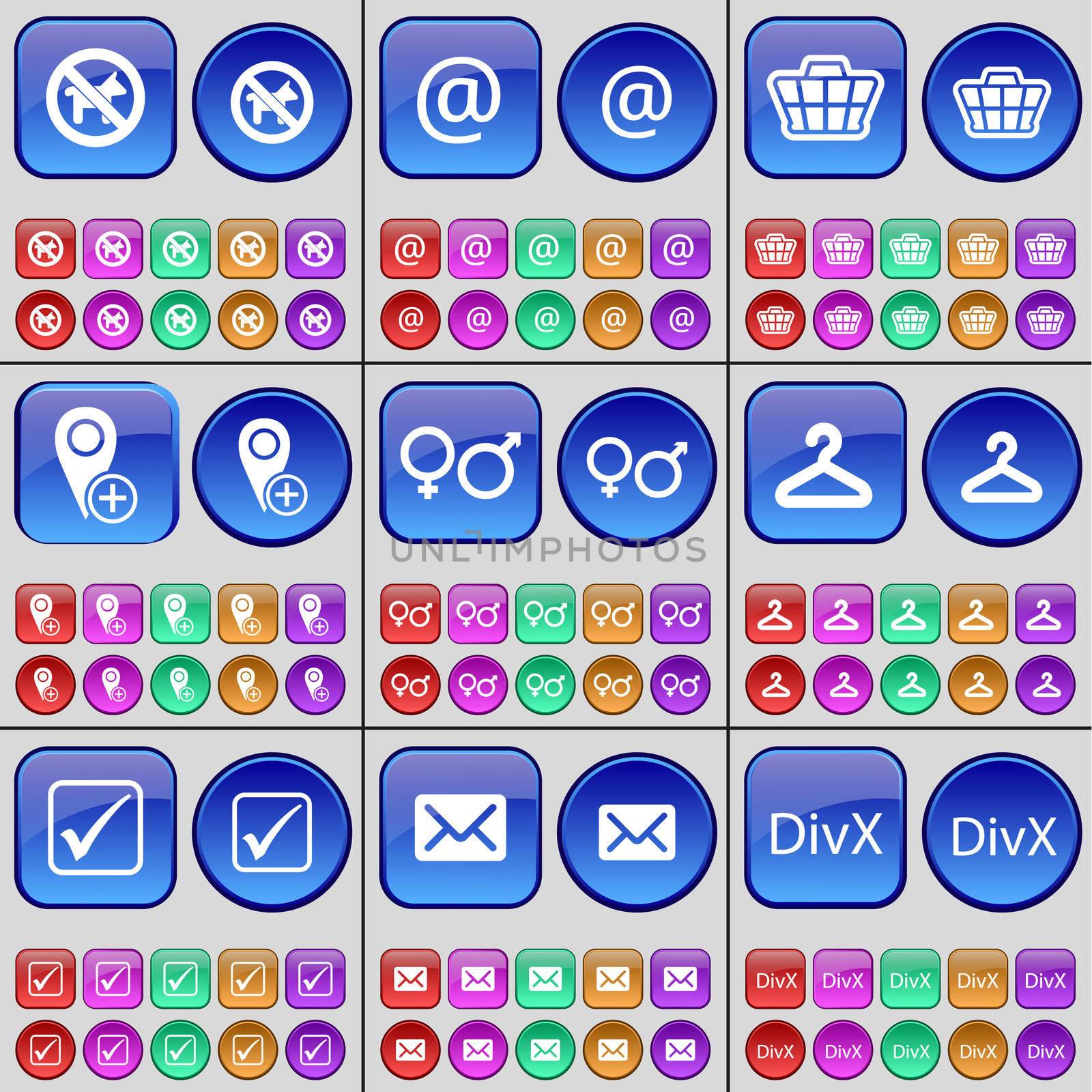 No pets allowed, Mail, Basket, Checkpoint, Gender symbols, Hanger, Tick, Message, DivX. A large set of multi-colored buttons. illustration