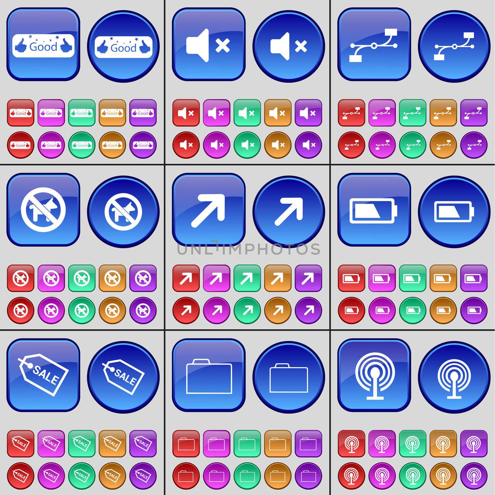 Like, Mute, Connection, No pets allowed, Full screen, Battery, Sale, Folder, Wi-Fi. A large set of multi-colored buttons. illustration