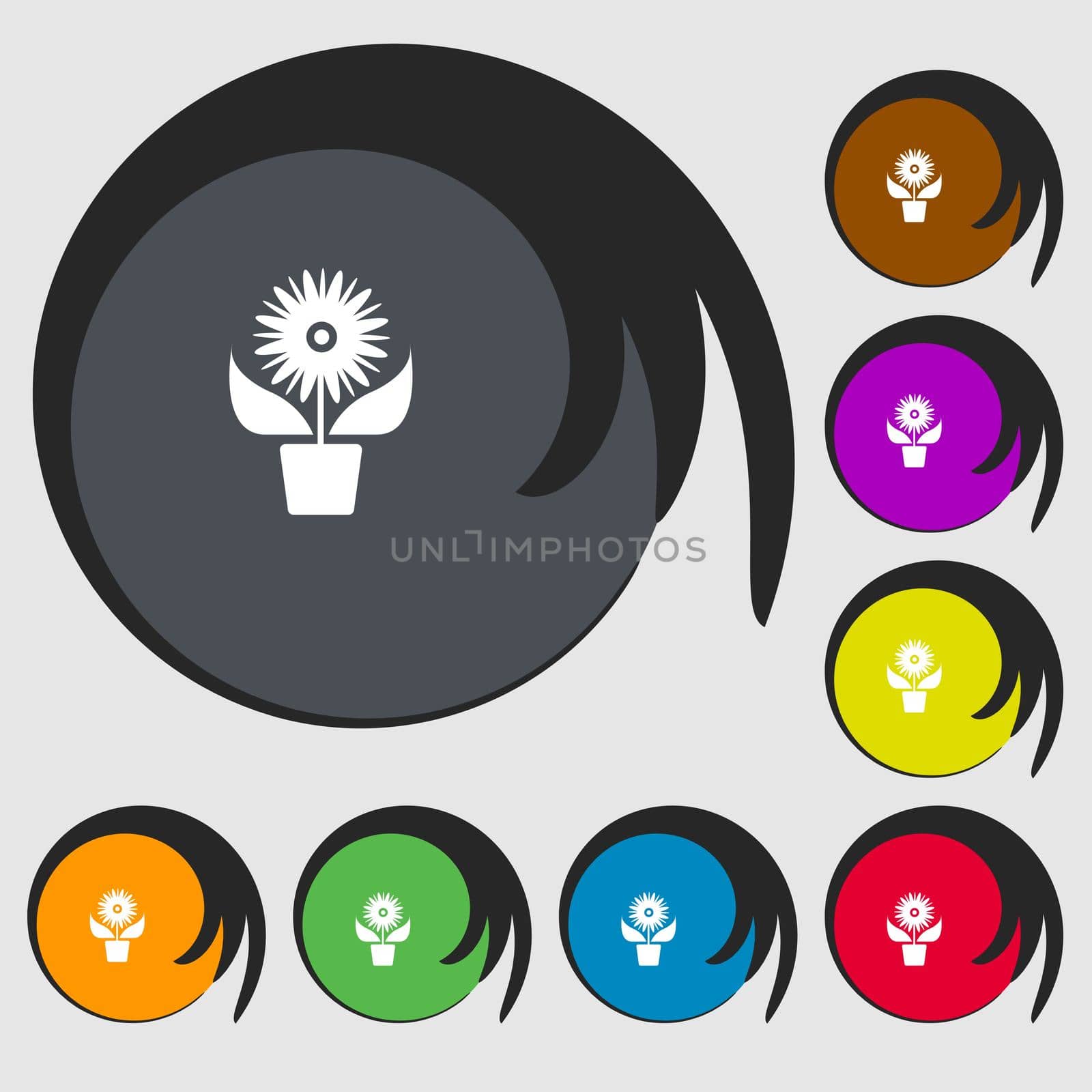 Flowers in pot icon sign. Symbols on eight colored buttons. illustration