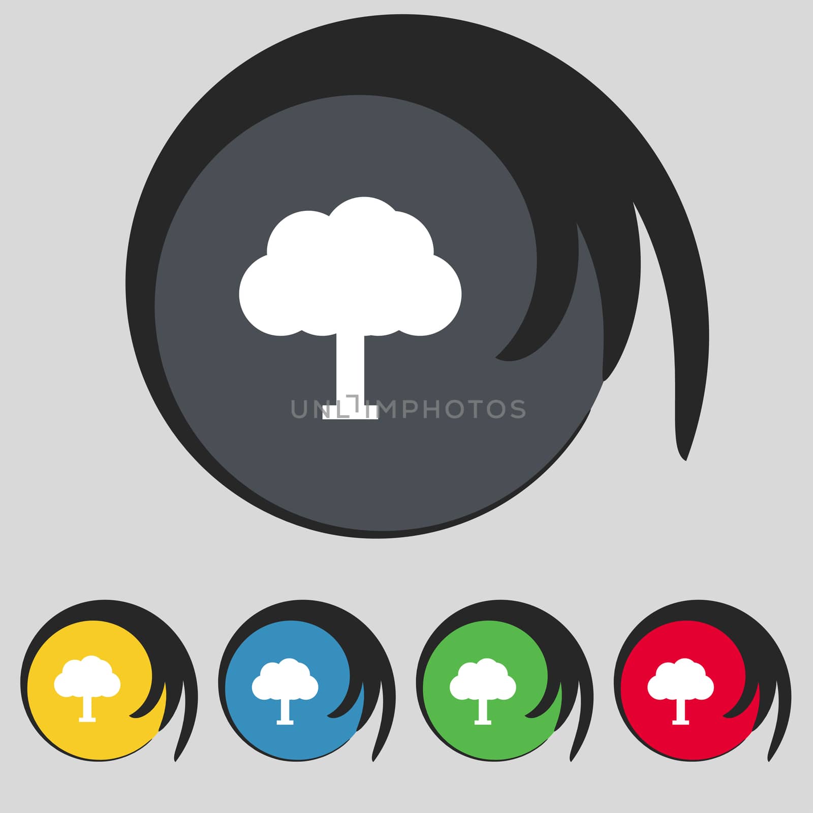Tree, Forest icon sign. Symbol on five colored buttons. illustration