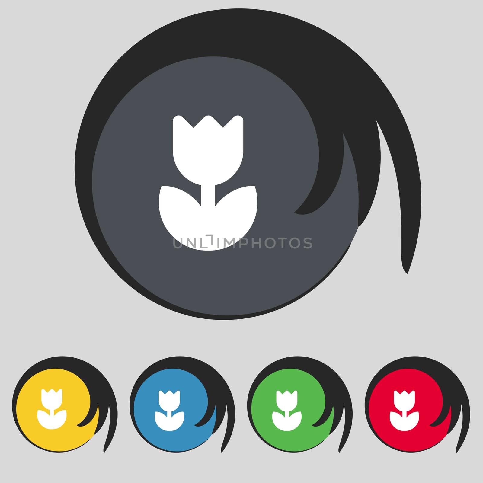 Flower, rose icon sign. Symbol on five colored buttons. illustration