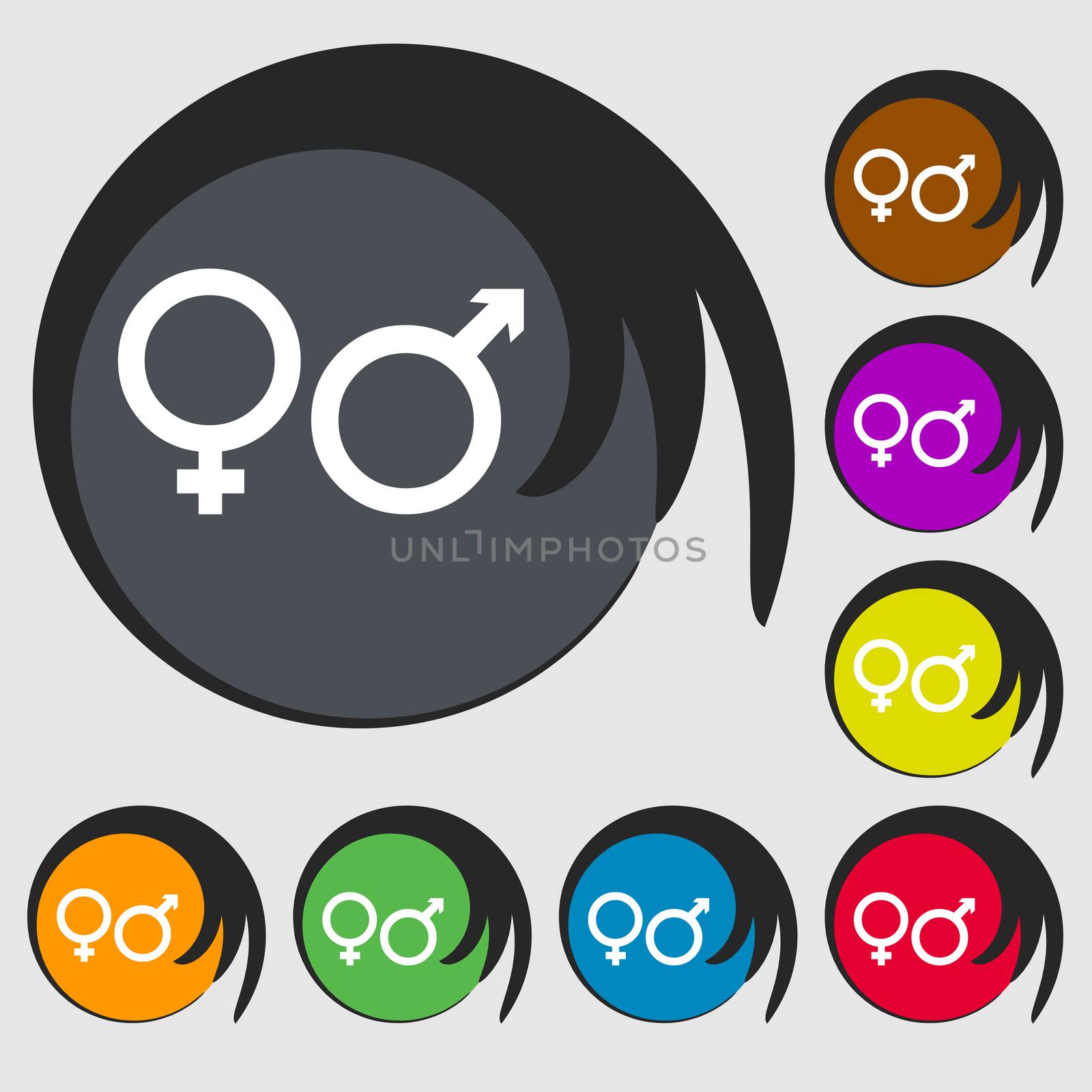 male and female icon sign. Symbol on eight colored buttons. illustration