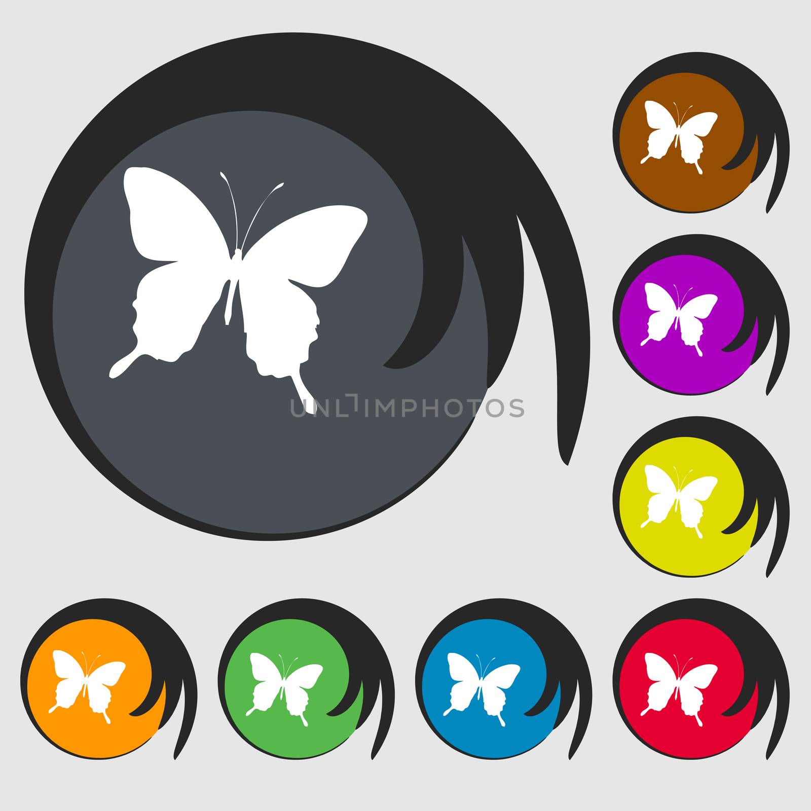 butterfly icon sign. Symbol on eight colored buttons. illustration