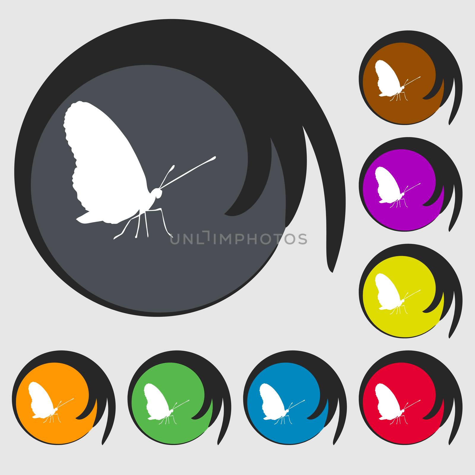 butterfly icon sign. Symbol on eight colored buttons. illustration