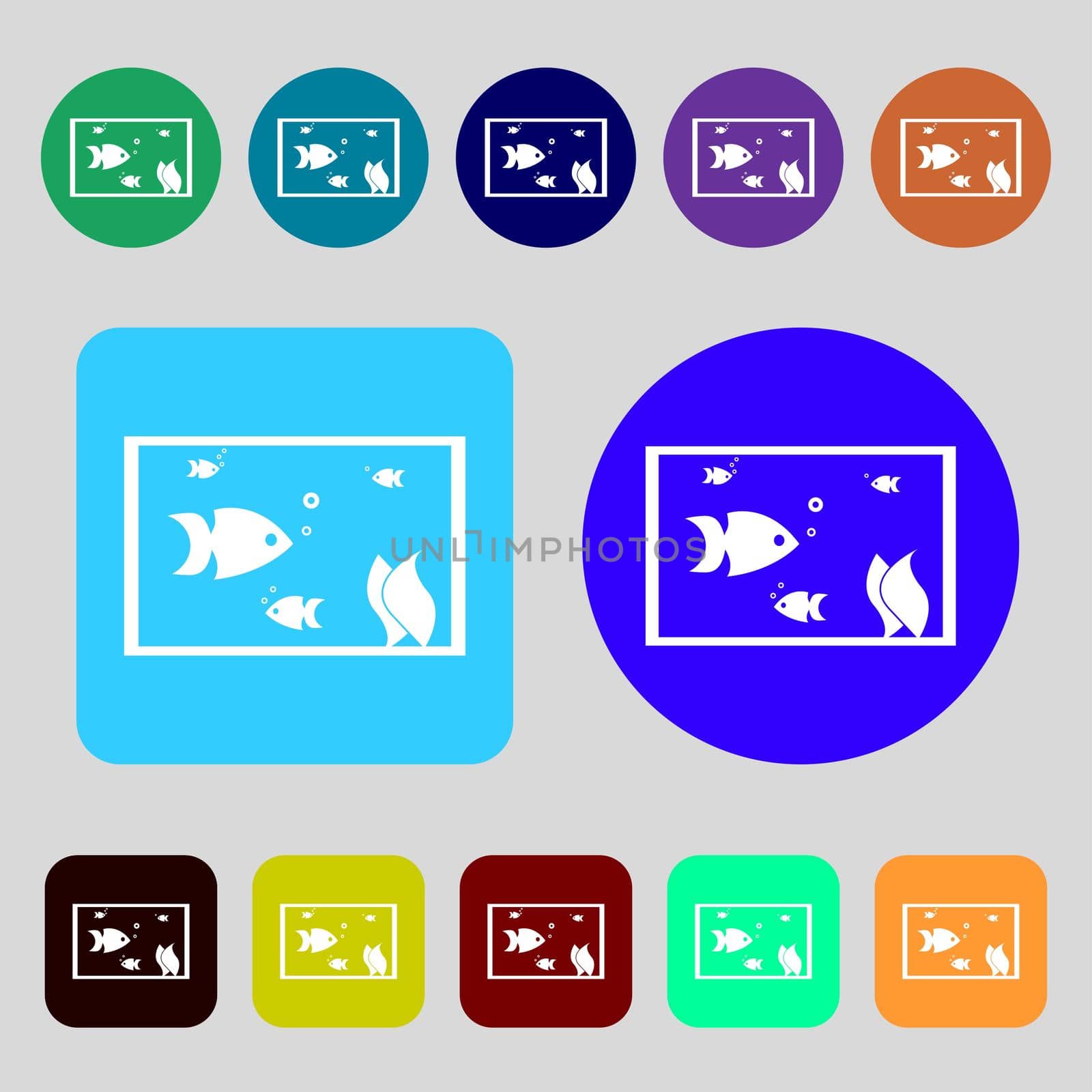 Aquarium, Fish in water icon sign.12 colored buttons. Flat design. illustration