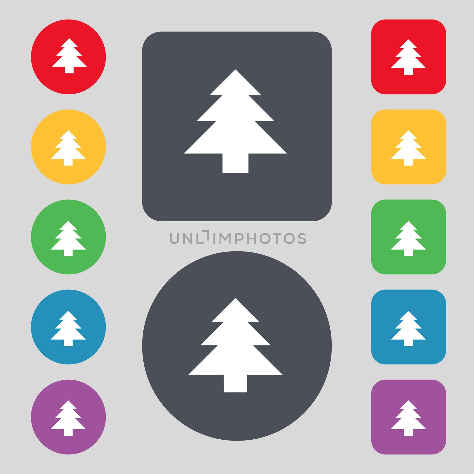 Christmas tree icon sign. A set of 12 colored buttons. Flat design. illustration
