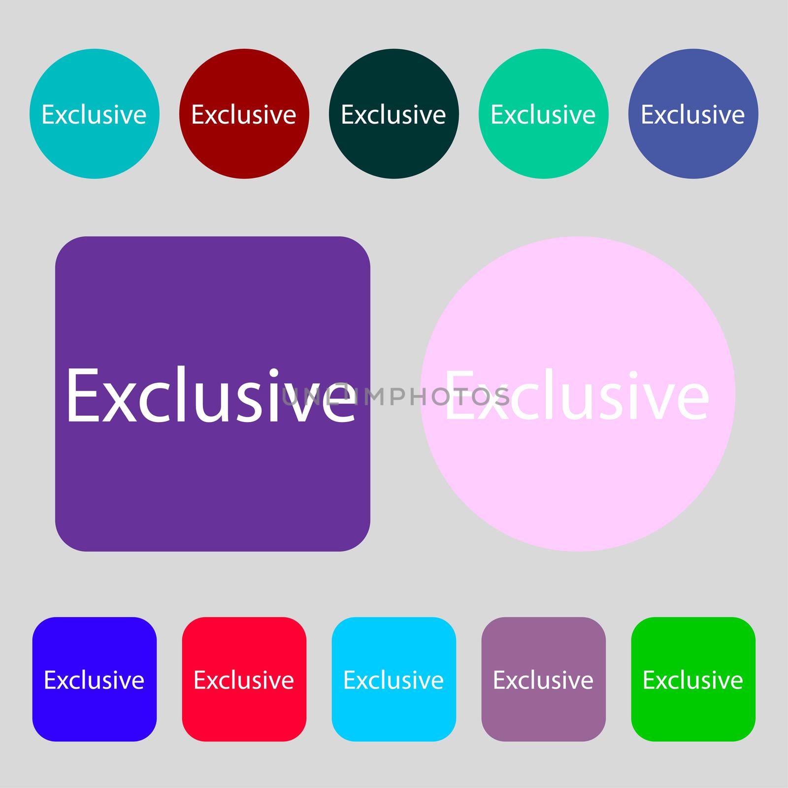 Exclusive sign icon. Special offer symbol.12 colored buttons. Flat design. illustration