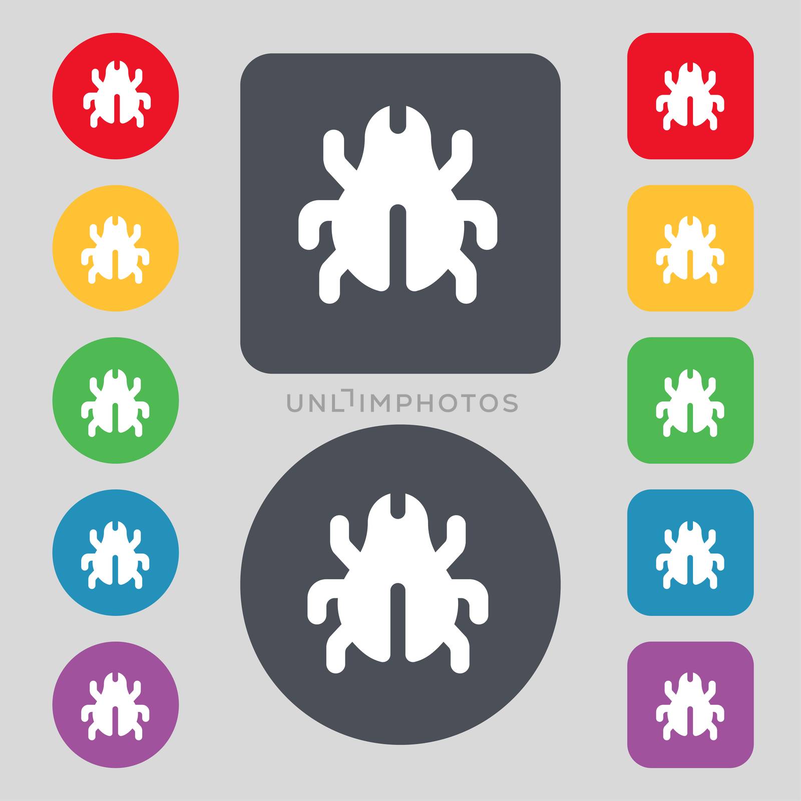 Software Bug, Virus, Disinfection, beetle icon sign. A set of 12 colored buttons. Flat design. illustration