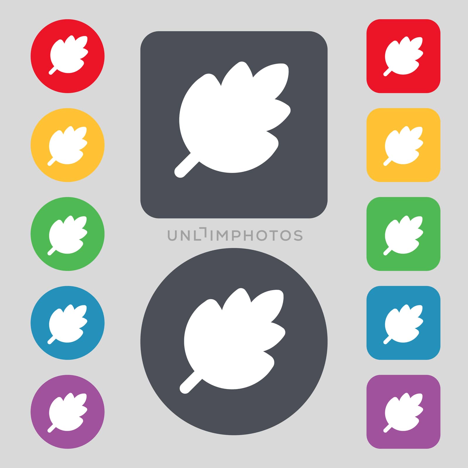 Leaf, Fresh natural product icon sign. A set of 12 colored buttons. Flat design.  by serhii_lohvyniuk