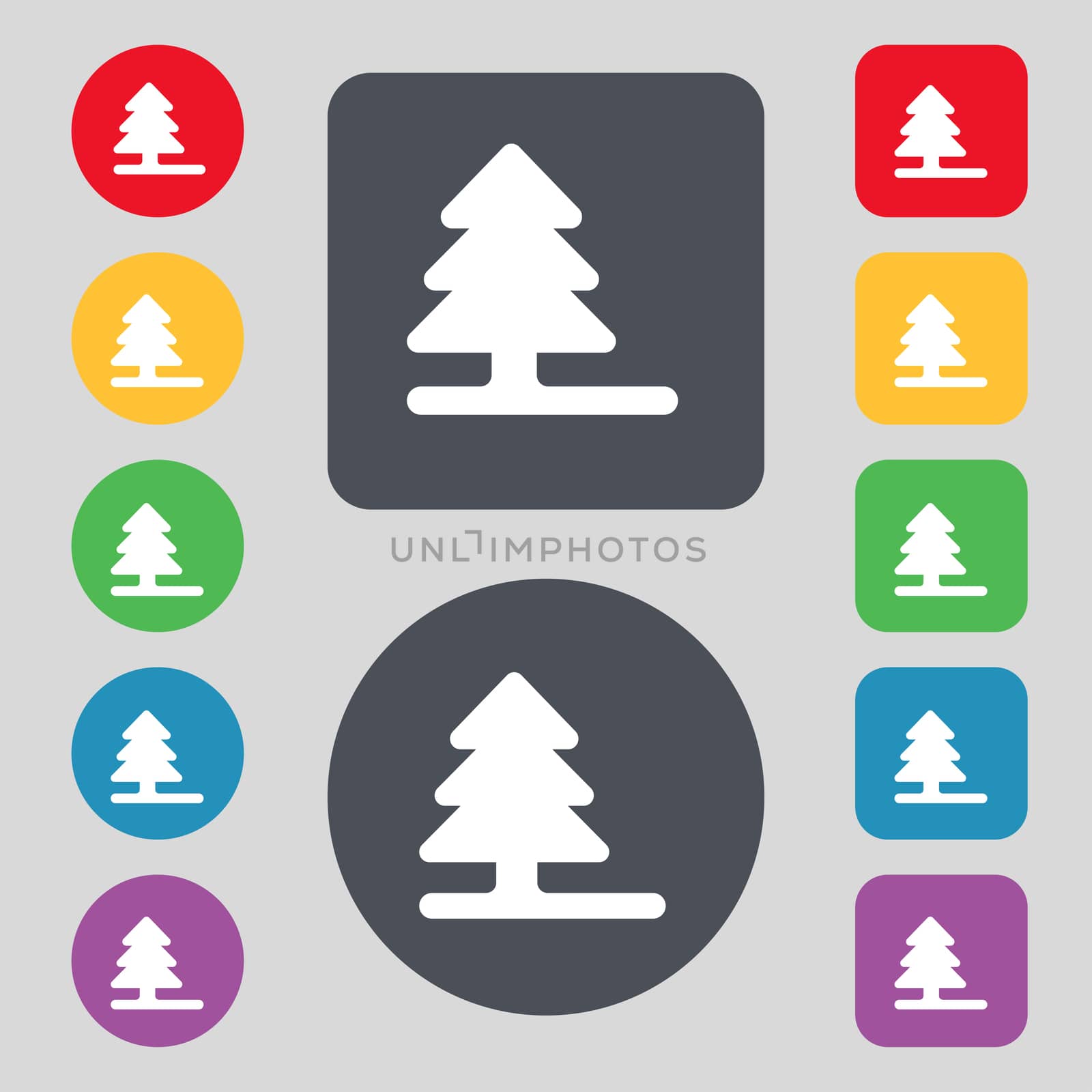 Christmas tree icon sign. A set of 12 colored buttons. Flat design.  by serhii_lohvyniuk