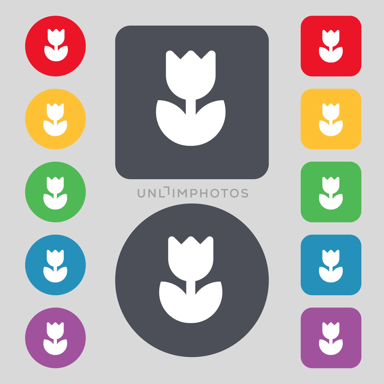Flower, rose icon sign. A set of 12 colored buttons. Flat design. illustration