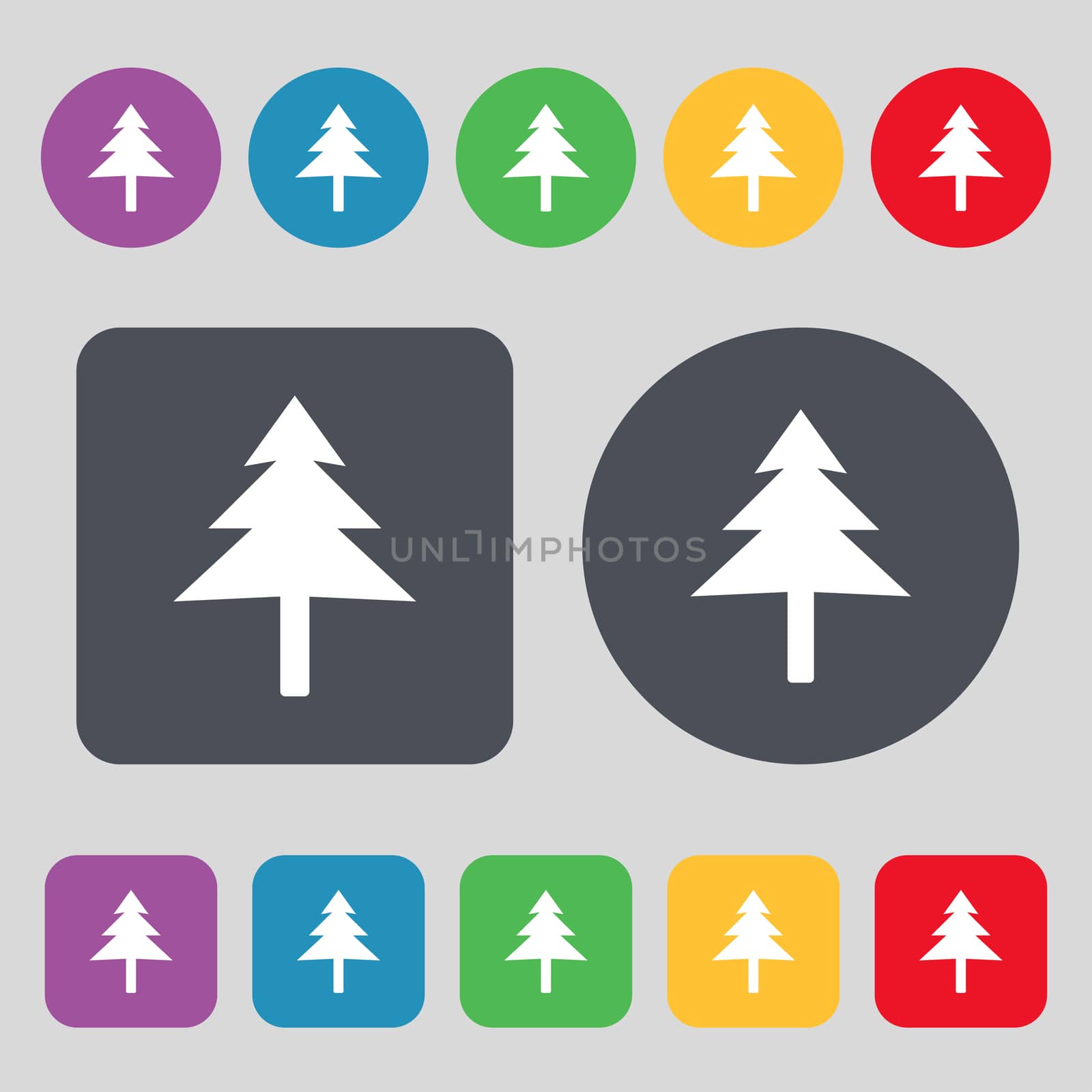 Christmas tree icon sign. A set of 12 colored buttons. Flat design.  by serhii_lohvyniuk