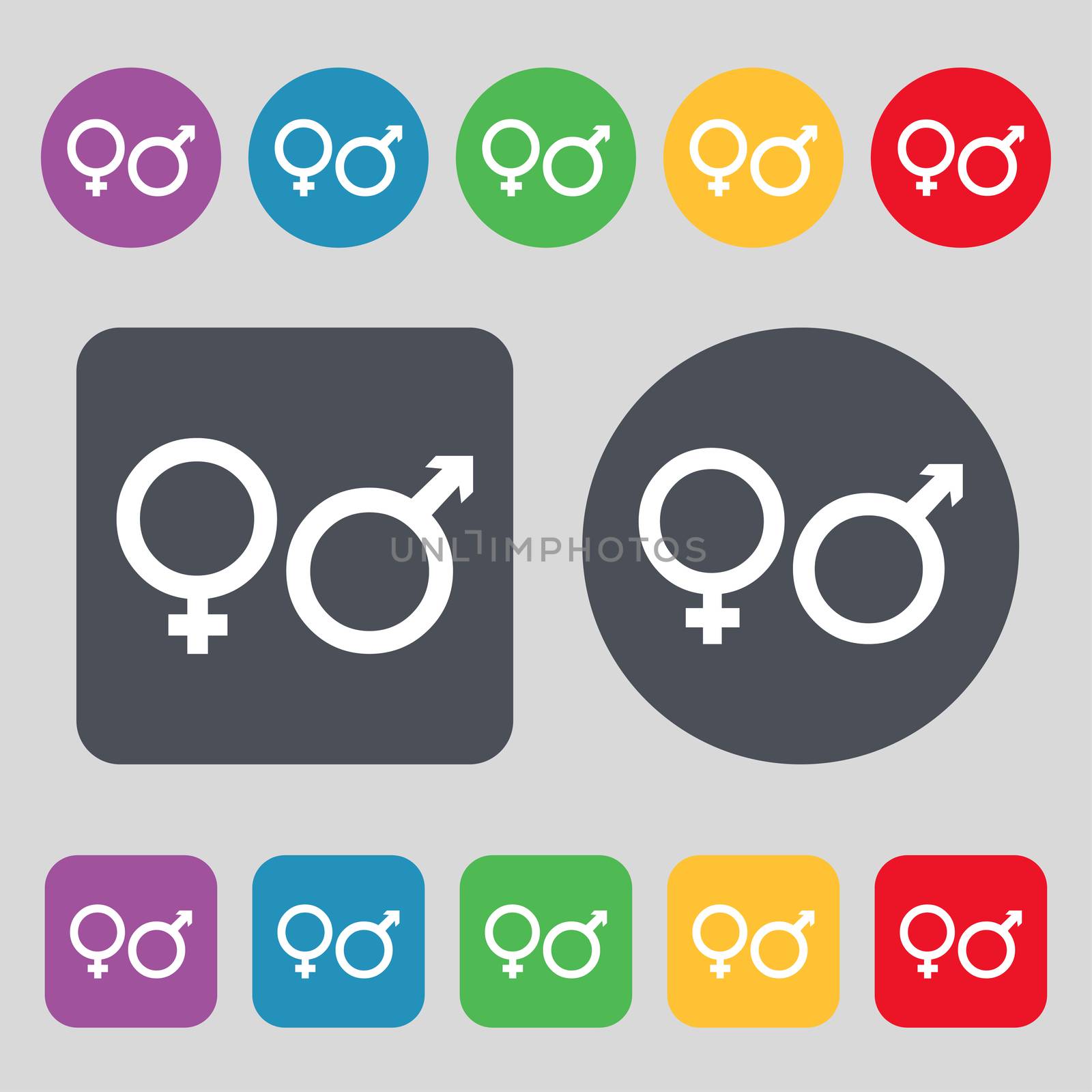 male and female icon sign. A set of 12 colored buttons. Flat design.  by serhii_lohvyniuk