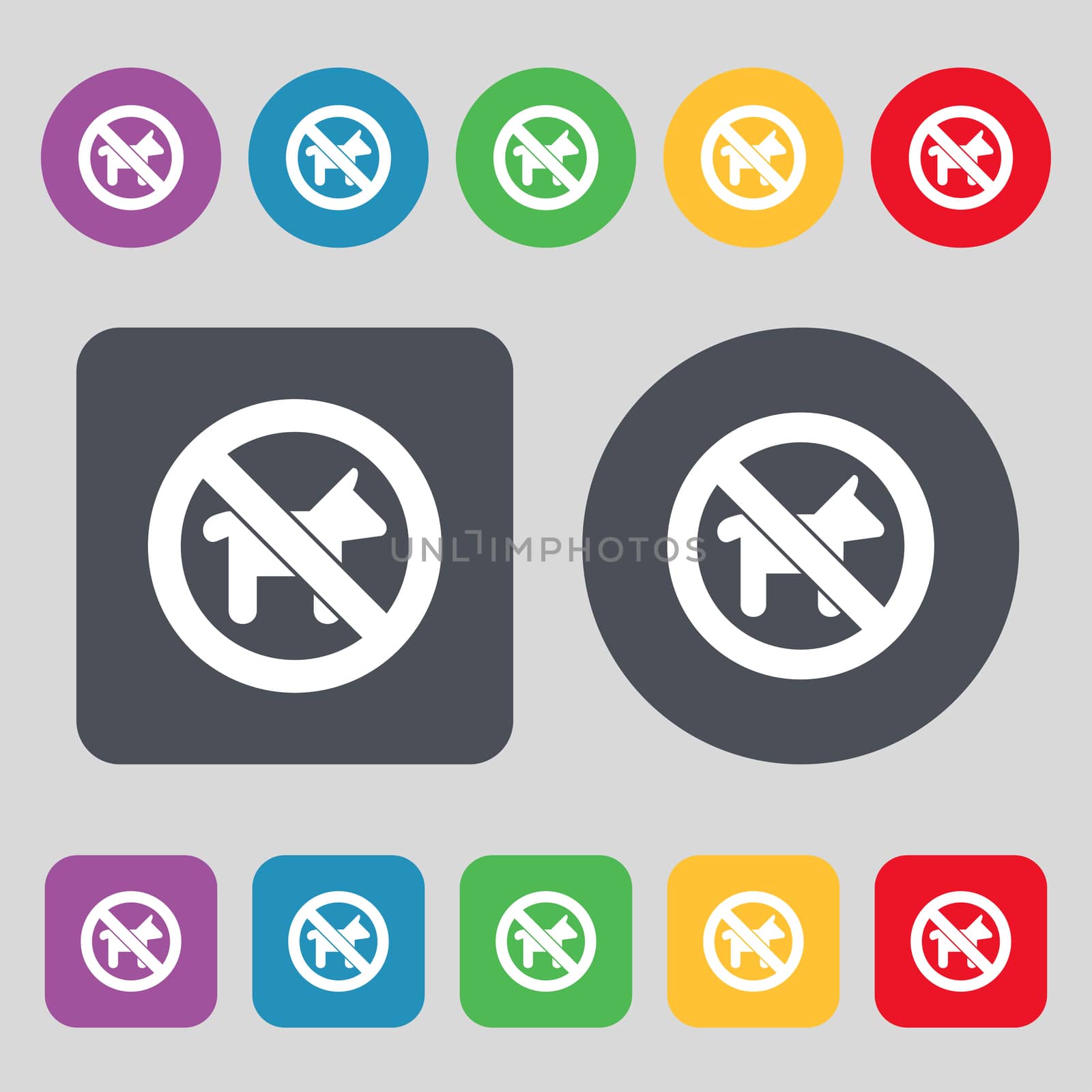 dog walking is prohibited icon sign. A set of 12 colored buttons. Flat design.  by serhii_lohvyniuk