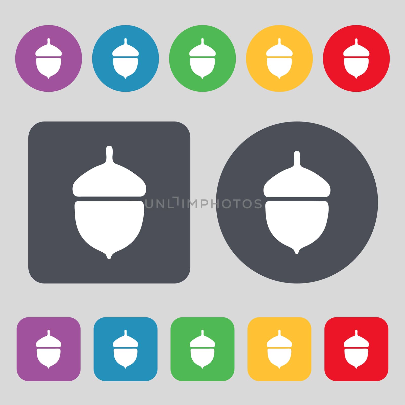 Acorn icon sign. A set of 12 colored buttons. Flat design. illustration