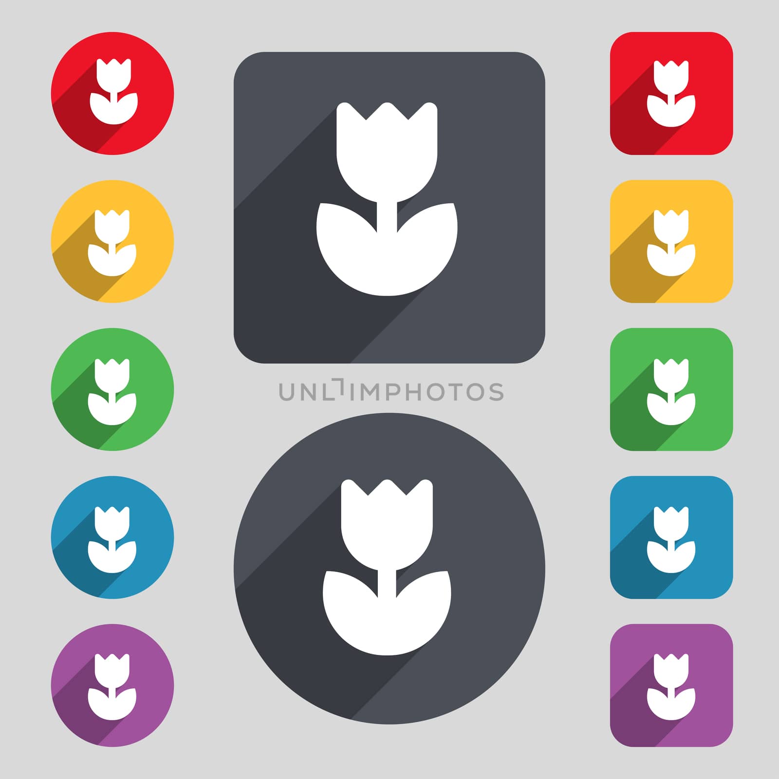 Flower, rose icon sign. A set of 12 colored buttons and a long shadow. Flat design. illustration