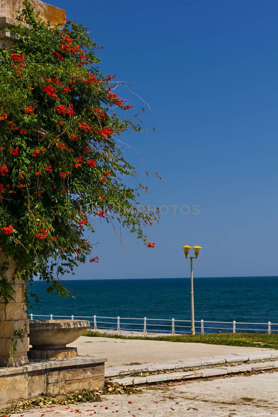 Constanta seafront in summer time 