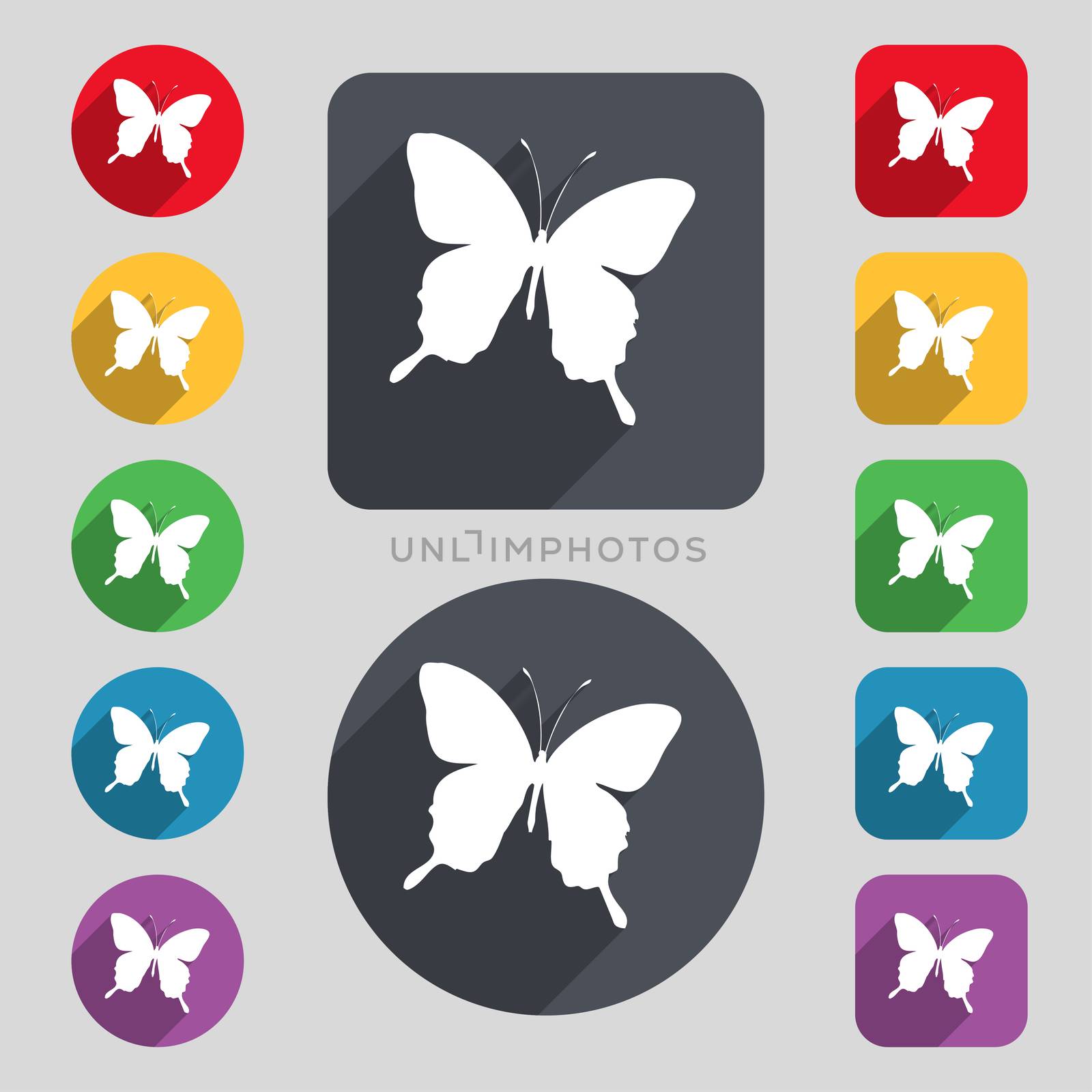 butterfly icon sign. A set of 12 colored buttons and a long shadow. Flat design.  by serhii_lohvyniuk