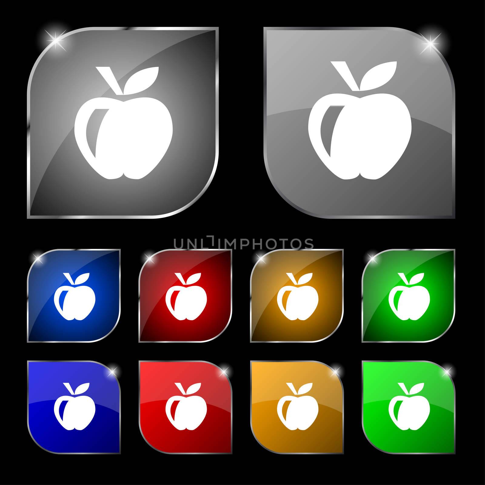 Apple icon sign. Set of ten colorful buttons with glare. illustration