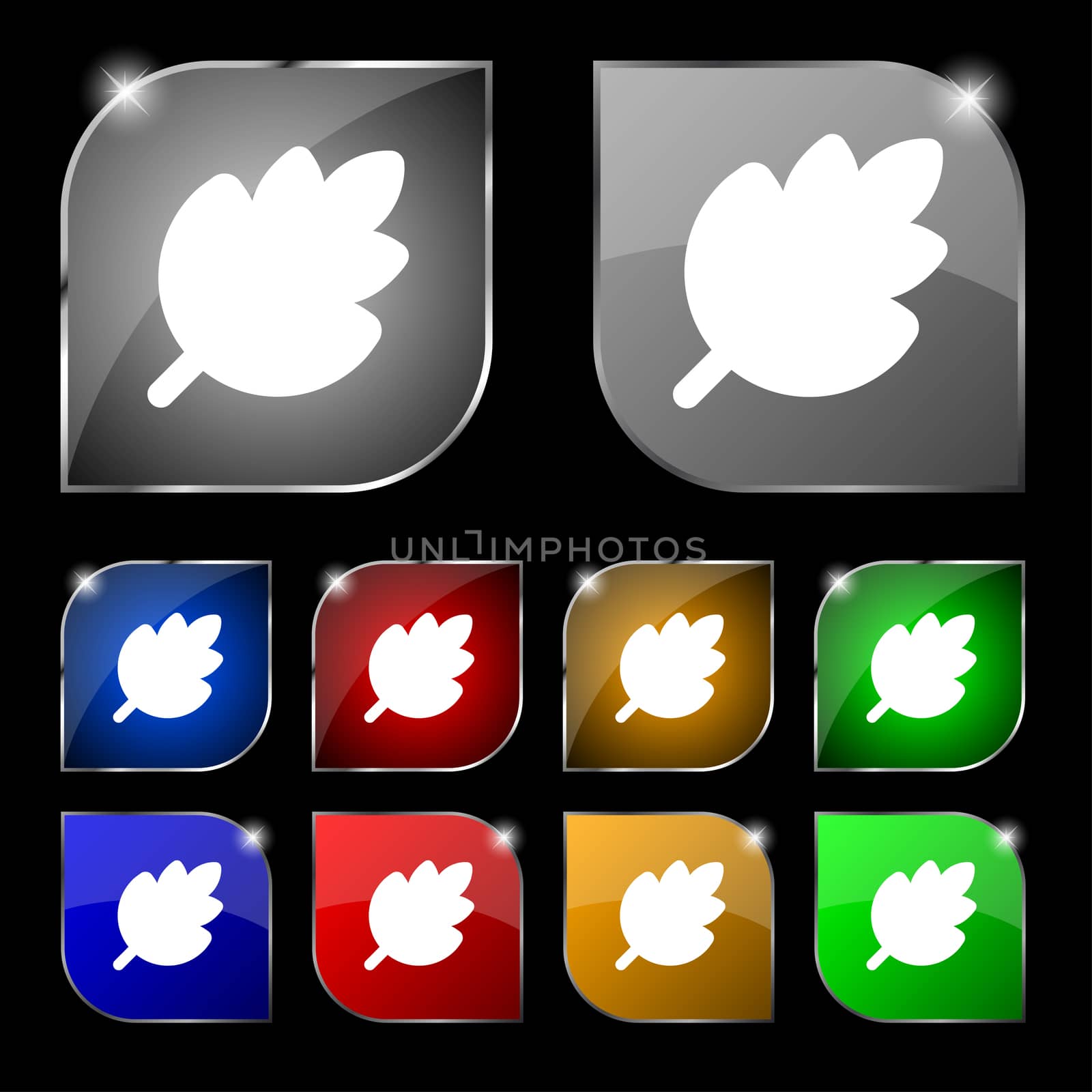 Leaf, Fresh natural product icon sign. Set of ten colorful buttons with glare. illustration