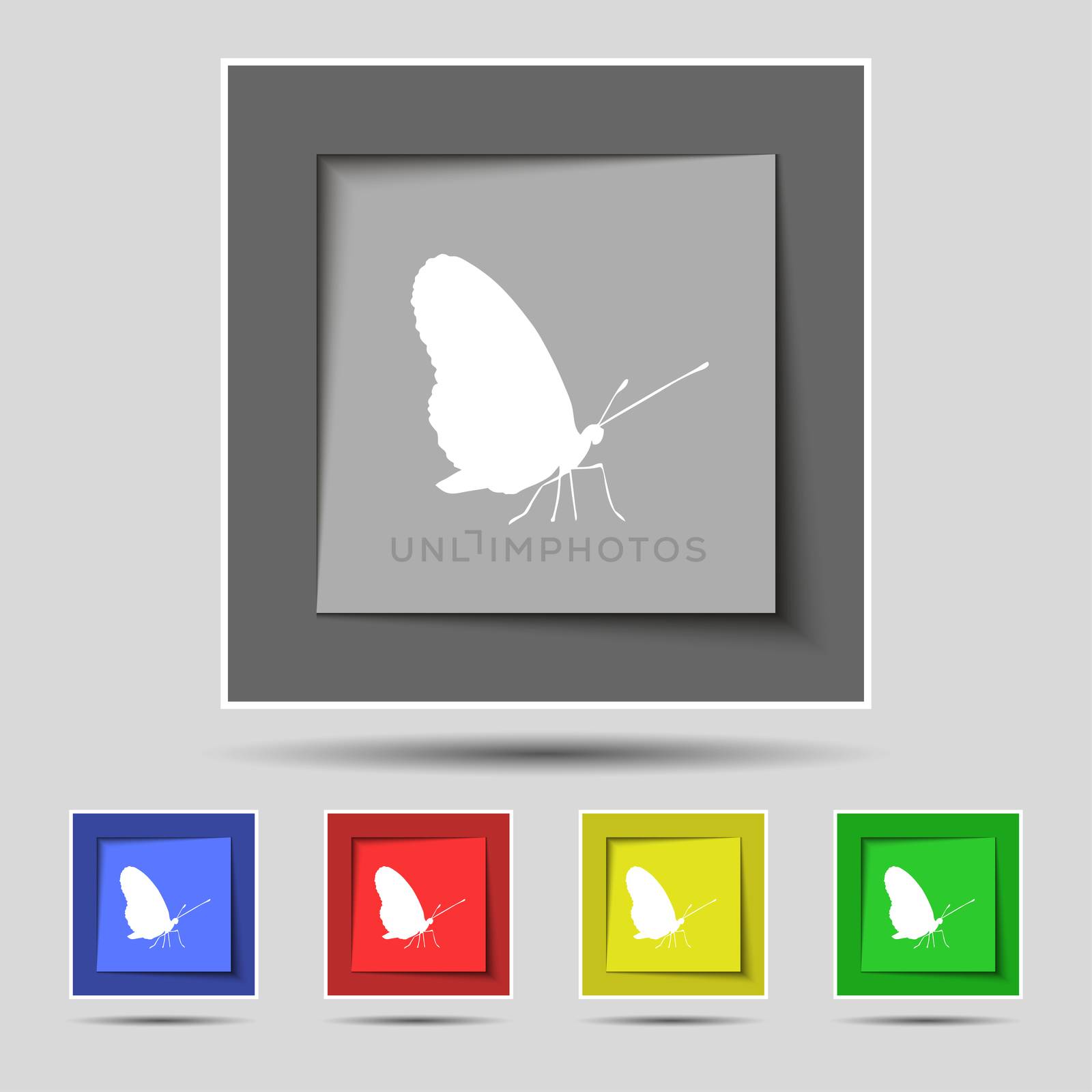 butterfly icon sign on original five colored buttons. illustration