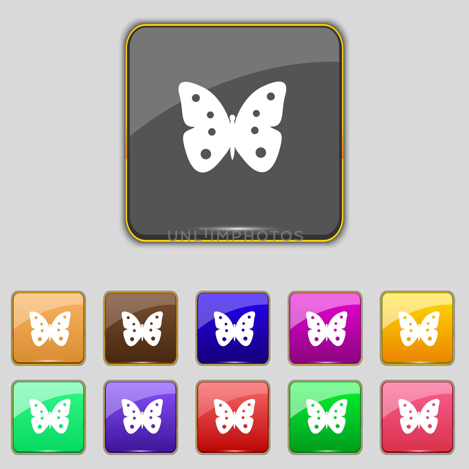 Butterfly sign icon. insect symbol. Set colourful buttons.  by serhii_lohvyniuk