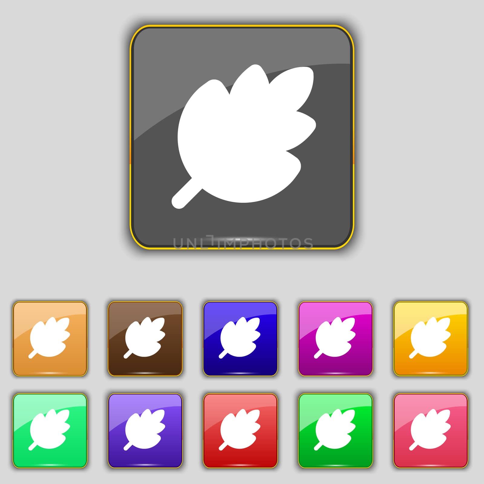 Leaf, Fresh natural product icon sign. Set with eleven colored buttons for your site.  by serhii_lohvyniuk