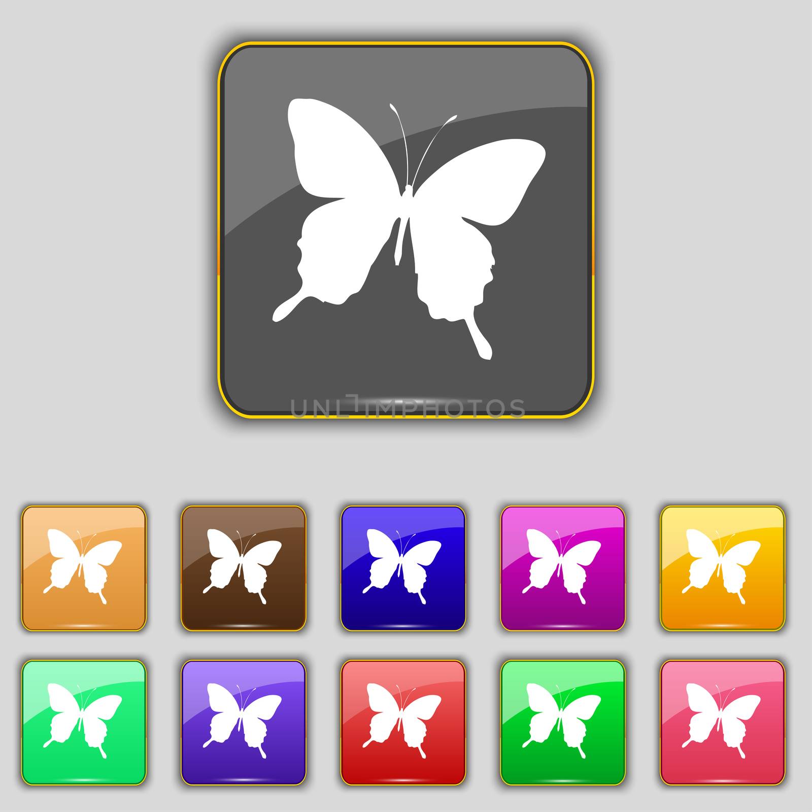 butterfly icon sign. Set with eleven colored buttons for your site.  by serhii_lohvyniuk
